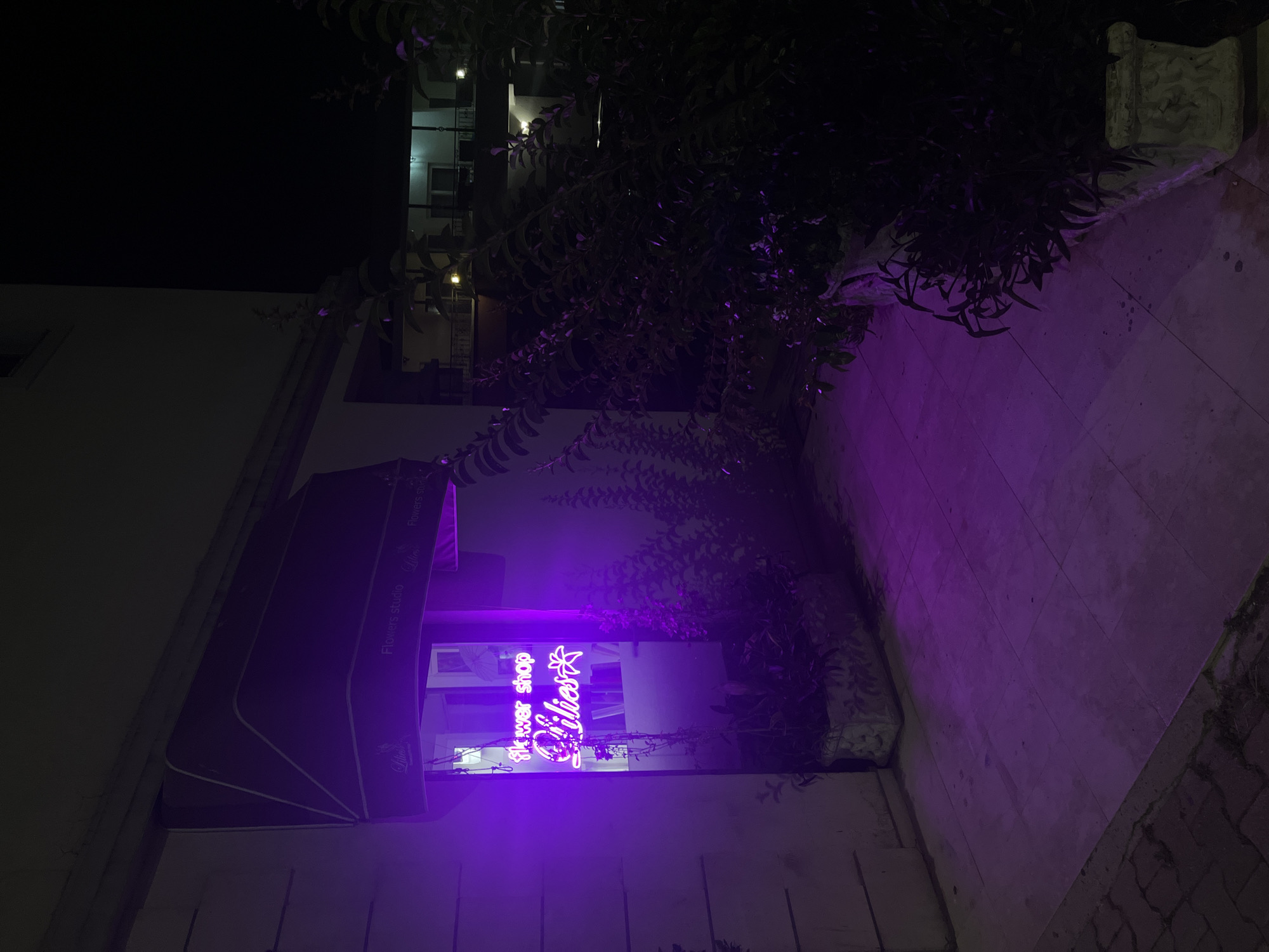The image depicts a street-level view of a flower shop at night in Budva, Montenegro. A prominent purple neon sign inside the shop window reads "flower shop lilies" accompanied by a stylized lily flower and a star. The shop has a dark awning above the window. Outside the shop, a tiled sidewalk is illuminated by the purple glow of the sign, and a planter with dark foliage sits to the right. In the background, a building with balconies and illuminated windows is visible. The scene is set in a dark, urban environment.