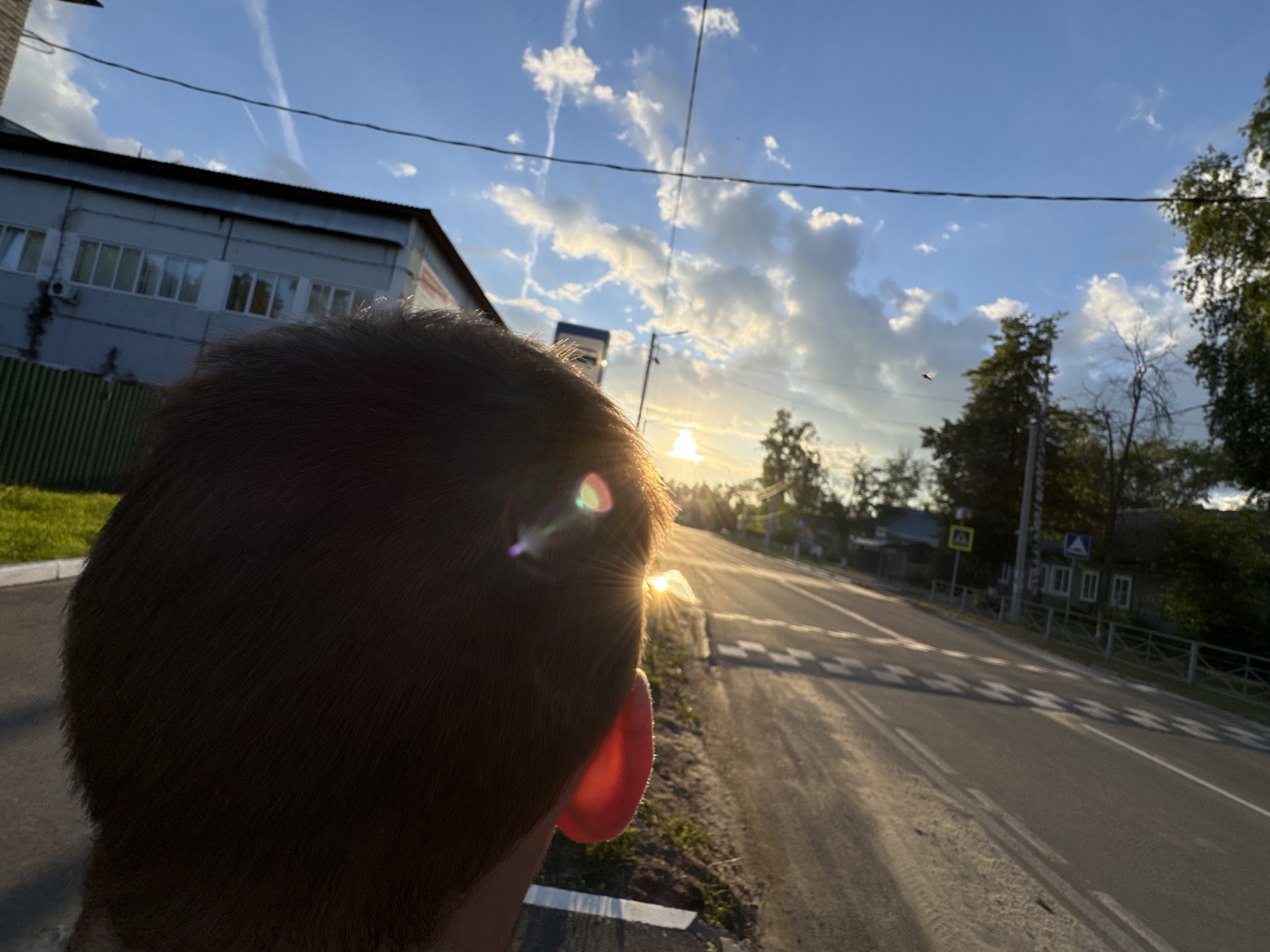 The image captures a late afternoon or sunset scene, viewed from behind a person whose head and right ear occupy the foreground on the left. The sun is low in the sky, positioned towards the right side of the frame, casting a warm glow and creating prominent lens flares on the person's hair and ear.
The scene depicts a straight road extending into the distance, featuring a clearly marked zebra crossing and multiple speed bumps. On the left side of the road, there's a grassy verge and a sidewalk. A large, light-colored building with numerous windows and an air conditioning unit stands on the left. On the right side of the road, trees and several houses are visible further down. Utility poles and power lines crisscross the sky.
The sky is a clear blue with scattered white, fluffy clouds, and a faint contrail is visible overhead. Two road signs are discernible in the mid-ground on the right: a blue square sign with a white triangle containing a pedestrian symbol, indicating a pedestrian crossing, and a yellow square sign with a black symbol depicting children, likely signaling a school or children's area. A small bird is visible in flight in the upper right quadrant. The overall impression is that of a quiet road in a rural or semi-urban setting during the golden hour.