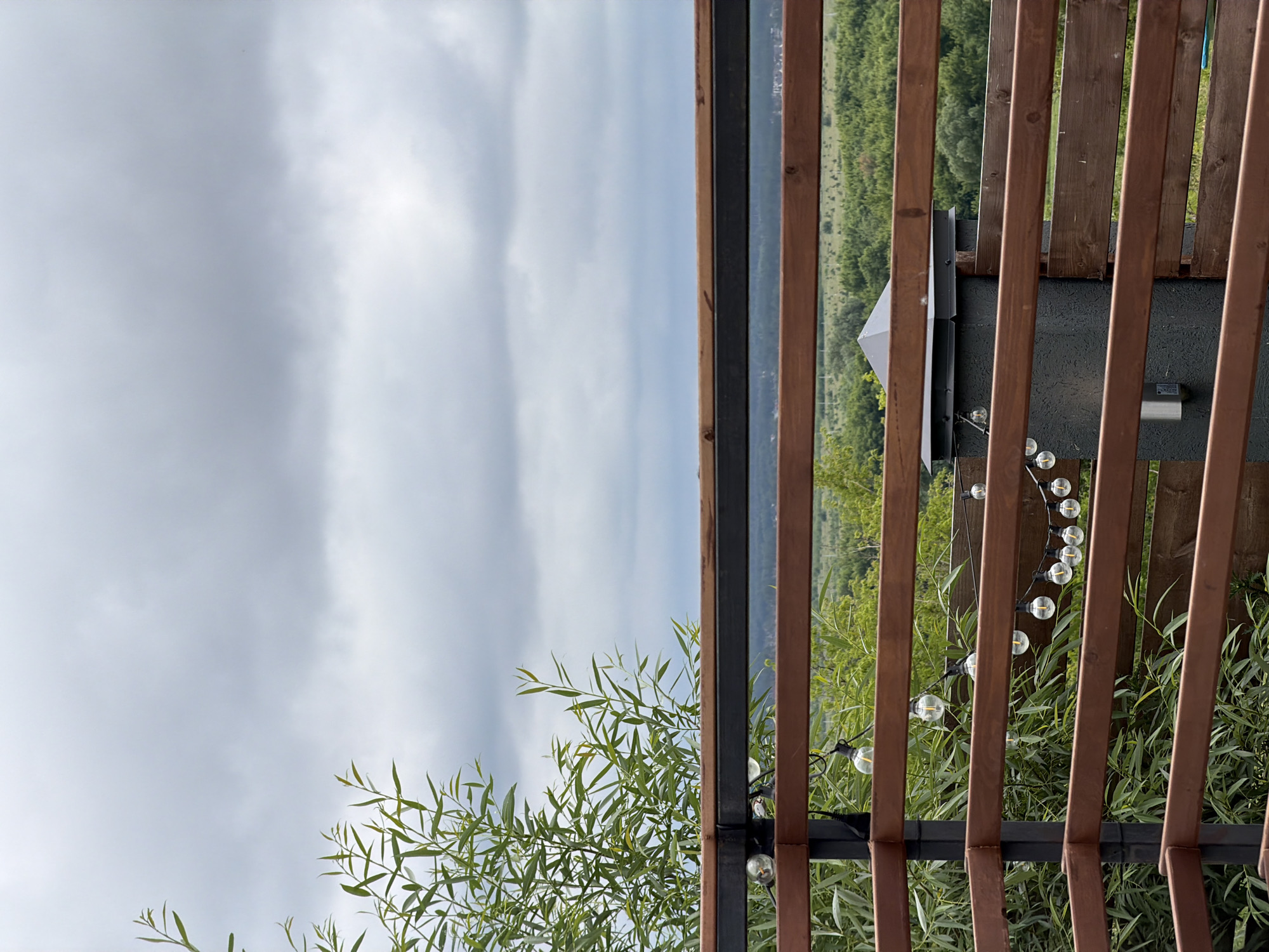 The image depicts a view from a wooden deck, looking out over a verdant, hilly landscape under a cloudy sky. The foreground is dominated by the railing of the deck, constructed with horizontal wooden planks. String lights with exposed bulbs are draped along the railing. To the left, a tall, leafy green plant with long, slender leaves extends upwards, partially obscuring the view. The middle ground reveals a panoramic vista of rolling hills covered in dense green trees, with scattered signs of human habitation, possibly a village or suburban area, visible in the distance. The sky is overcast with varying shades of gray clouds. The scene is set in Семилуки, Russia. There are no people or animals visible in the image.