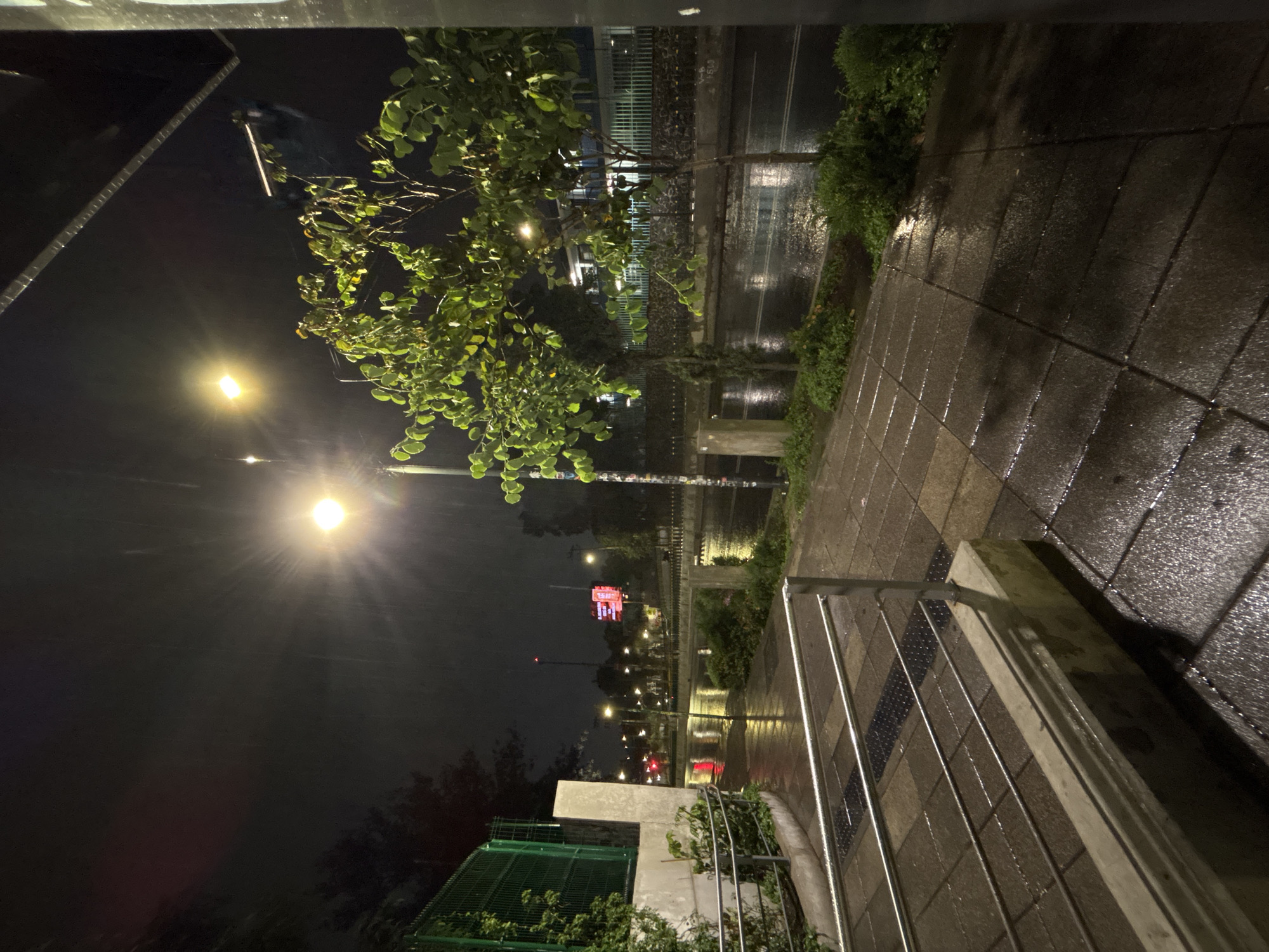 The image shows a street scene at night in Mexico City, Mexico. It is raining, and the road and sidewalk are wet, reflecting light from street lamps. The perspective is from a slightly elevated position, looking down the street. A tree is visible on the left side of the frame, partially obscuring the view. A metal fence or railing is in the foreground on the right, bordering the sidewalk. In the distance, illuminated red signs and street lights are visible, indicating an urban area with vehicular traffic. A green fence-like structure is at the bottom left of the image.