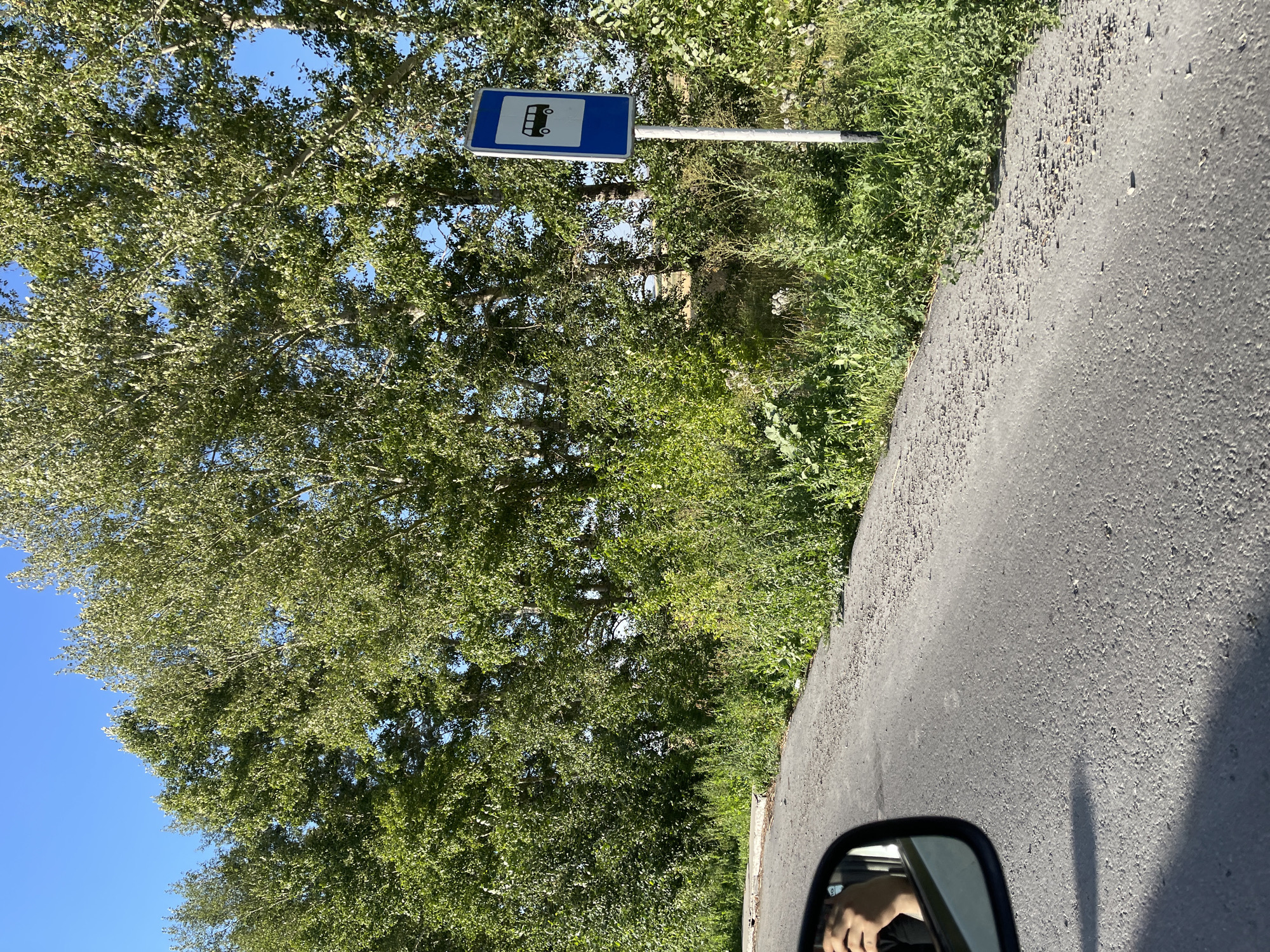 The image captures a roadside scene on a sunny day. A paved road curves to the left, with a dense line of green trees and foliage bordering its right side. A blue and white bus stop sign stands prominently on a metal pole amidst the greenery. In the foreground, the reflection of a person's hand is visible in the car's side mirror, indicating the perspective is from inside a vehicle. The sky is a clear, bright blue. The environment suggests a rural or semi-rural setting, possibly on the outskirts of Praporştşikovo, Kazakhstan.