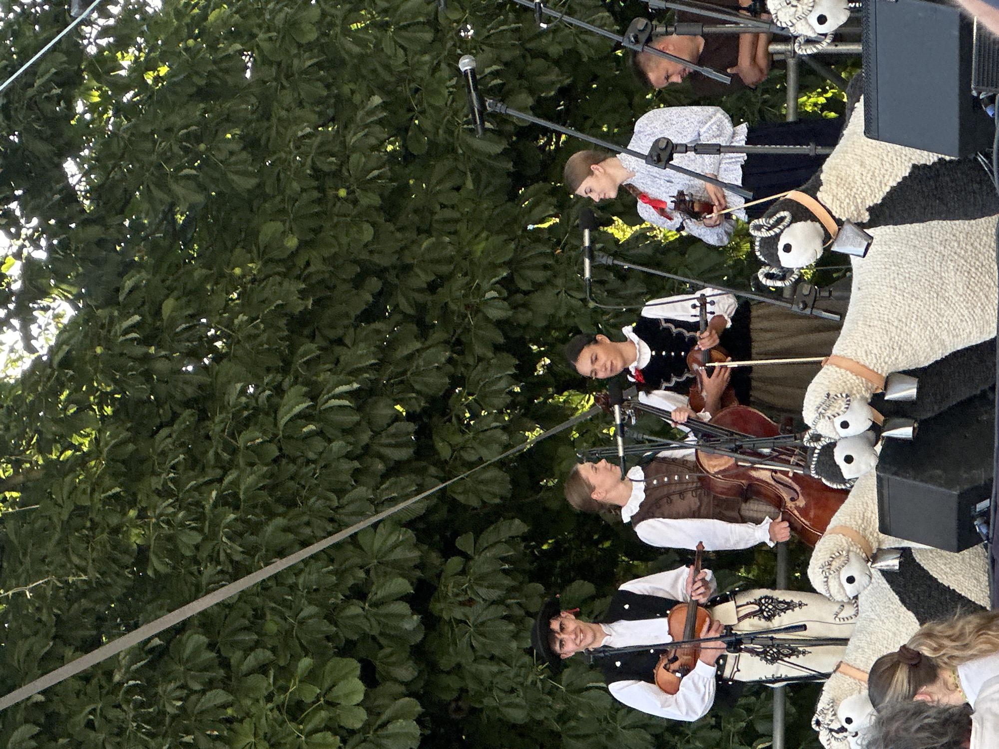 The image shows a group of young people performing music on an outdoor stage, set against a backdrop of lush green trees. Four individuals, two males and two females, are prominently featured in the center of the frame, dressed in traditional attire. The male on the left wears a black hat, a white shirt with black trim, and a dark vest. He is holding a violin and appears to be playing it. Next to him, a female wears a white blouse with a ruffled collar and a brown vest. She is positioned behind a cello, holding its bow. Another female, in the center, wears a black vest with white trim over a white shirt and is holding a ukulele. To her right, a female is dressed in a light-colored blouse with floral patterns and a dark skirt, holding a violin. In the foreground, several large, plush sheep figures with bells around their necks are placed on the stage, facing the audience. To the far right, a man with short hair is visible, leaning against a railing. Microphones and speaker equipment are set up on the stage. The overall atmosphere suggests a cultural event or performance taking place in a park or outdoor venue. The presence of traditional clothing and musical instruments indicates a focus on folk heritage. The backdrop of trees suggests the performance is taking place outdoors in a natural setting. The image is taken from a slightly low angle, looking up at the performers.