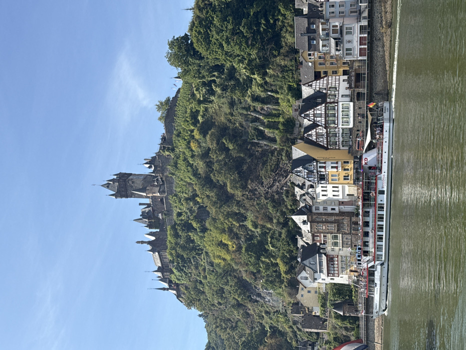 The image displays a panoramic view of the city of Cochem, Germany, under a clear, bright blue sky.
In the foreground, the Moselle River flows from left to right. Its surface is a greenish-brown, reflecting sunlight and showing ripples and a wake from a moving vessel. A multi-deck passenger excursion boat, primarily white with red trim, navigates the river. The boat features a "KD" logo on its side, an upper open deck with a white canopy over its stern, and a German flag flying from the stern. Several indistinct figures, consistent with passengers, are visible on the upper deck.
The mid-ground features the architecture of Cochem along the riverbank. A series of multi-story buildings, some exhibiting traditional half-timbered construction with white infill and dark wood frames, line the water's edge. Building facades vary in color, including white, yellow, and various shades of grey and brown. Many have gabled roofs and multiple windows; some include balconies. A stone retaining wall or promenade separates the buildings from the river.
Dominating the background and rising steeply behind the town is a densely vegetated hill. This hill is covered with an abundance of green deciduous trees and some visible areas of exposed rock and terraced vineyards. At the crest of this hill stands Reichsburg Cochem, a prominent medieval castle. The castle is dark-stoned and features multiple pointed spires, turrets, and fortified walls, with a tall central tower being the most distinctive element.