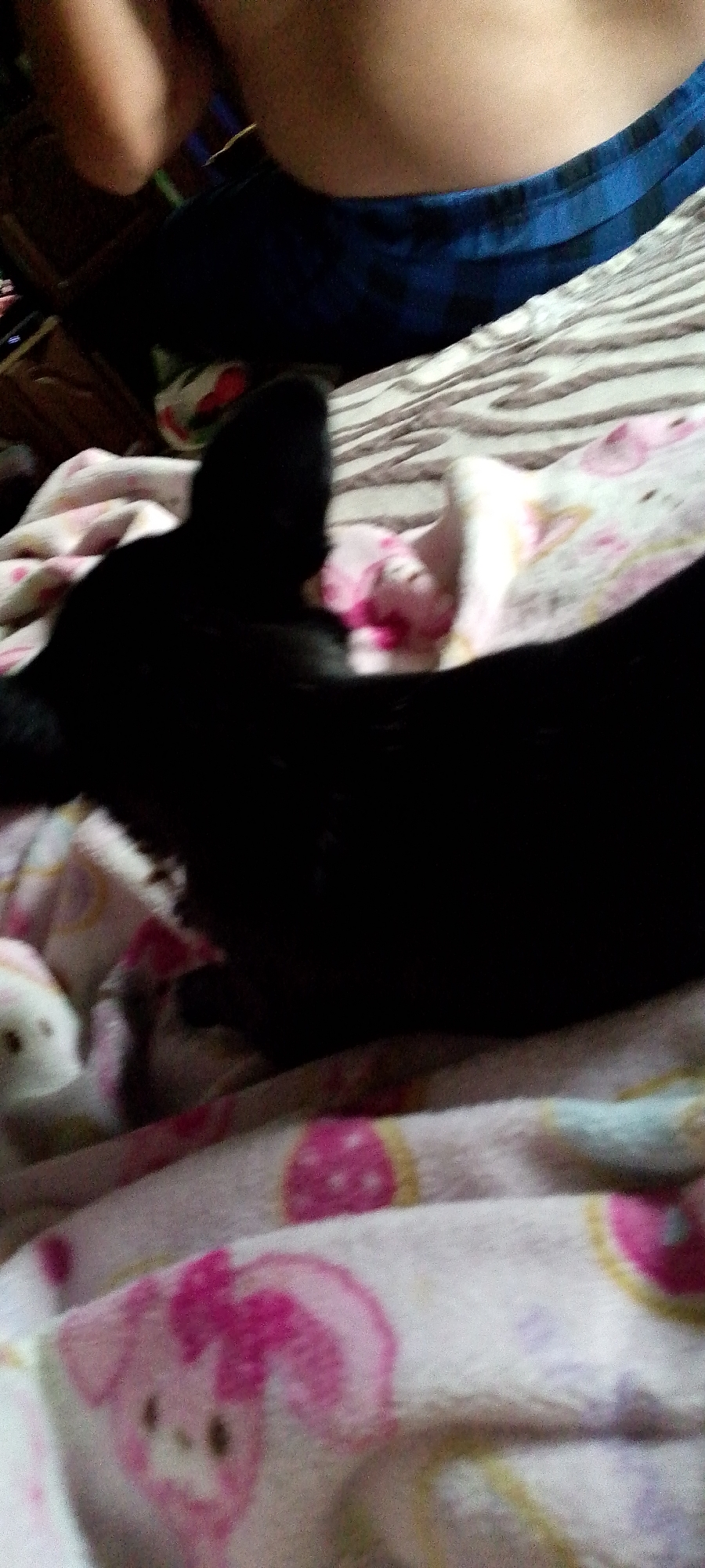 A black cat is lying on a bed covered with a pink and white blanket patterned with cartoon characters. The cat is in the foreground, with its head facing left and its body extending out of frame. The blanket is soft and plush, with images of what appear to be cartoon pigs or similar characters. The background is out of focus but shows a person's torso wearing blue shorts. The lighting is dim, suggesting it may be indoors during the evening or in a low-light environment. The overall impression is one of domestic comfort and relaxation.