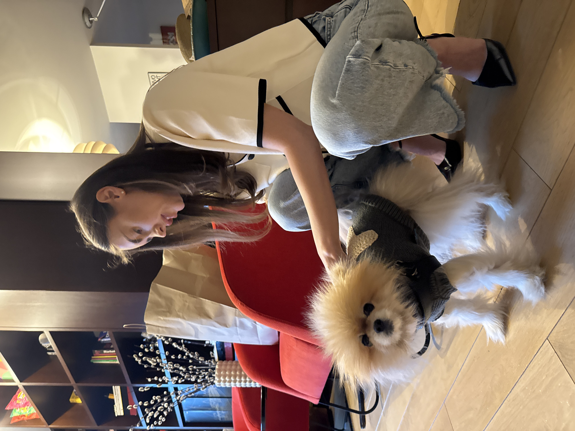 A woman wearing light-wash denim jeans and a white blouse with black trim is squatting indoors, interacting with a fluffy white and tan dog wearing a dark grey sweater. The woman has long brown hair and is looking at the dog, possibly adjusting its sweater. The scene is set in a room with light-colored hardwood floors. In the background, there is a red chair and a dark-colored shelf filled with books and decorative objects. A bouquet of bare branches is on a table near the red chair. The city and specific location are not discernible.