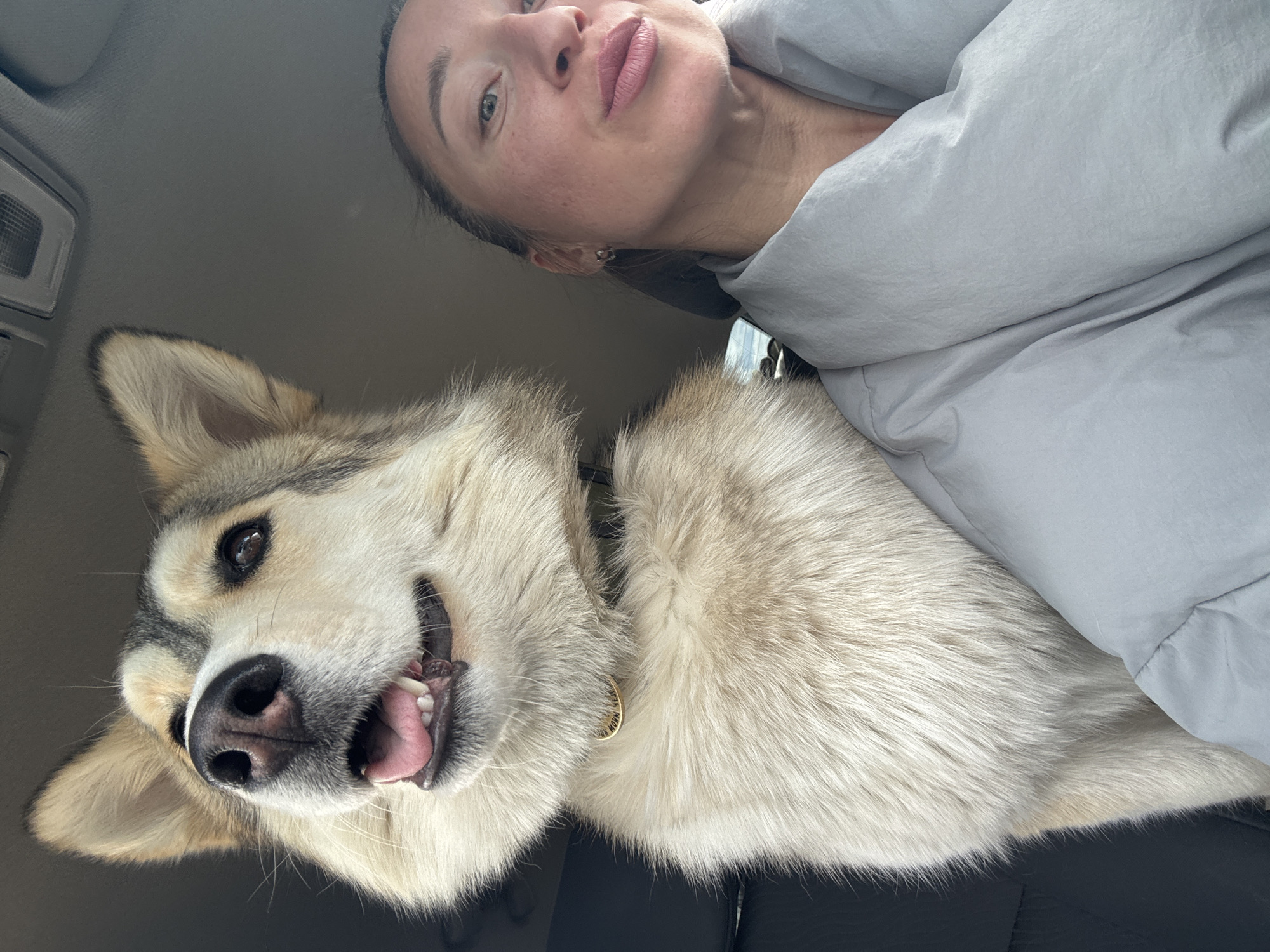 A selfie taken inside a car shows a fair-skinned woman looking down at the camera with a large dog beside her. The woman is wearing a light gray puffy jacket. The dog, a Husky mix with tan and gray markings, is sticking its tongue out and winking. The car's interior is visible. The image was taken in Chaikovsky, Russia.