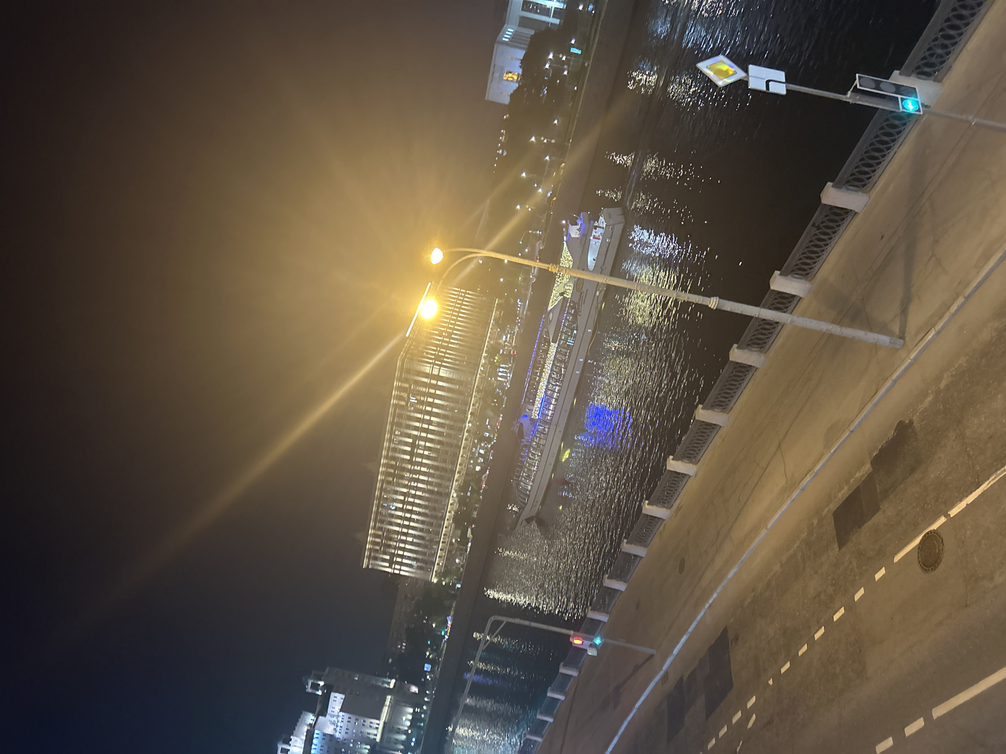 The image shows a nighttime view of a city from a bridge. The body of water below the bridge is a river. On the far side of the river are illuminated buildings, including a large structure with a gridded facade. A boat is visible on the river. Streetlights are visible along the riverbank. A traffic light is visible on the bridge, showing green. A road runs along the bridge.