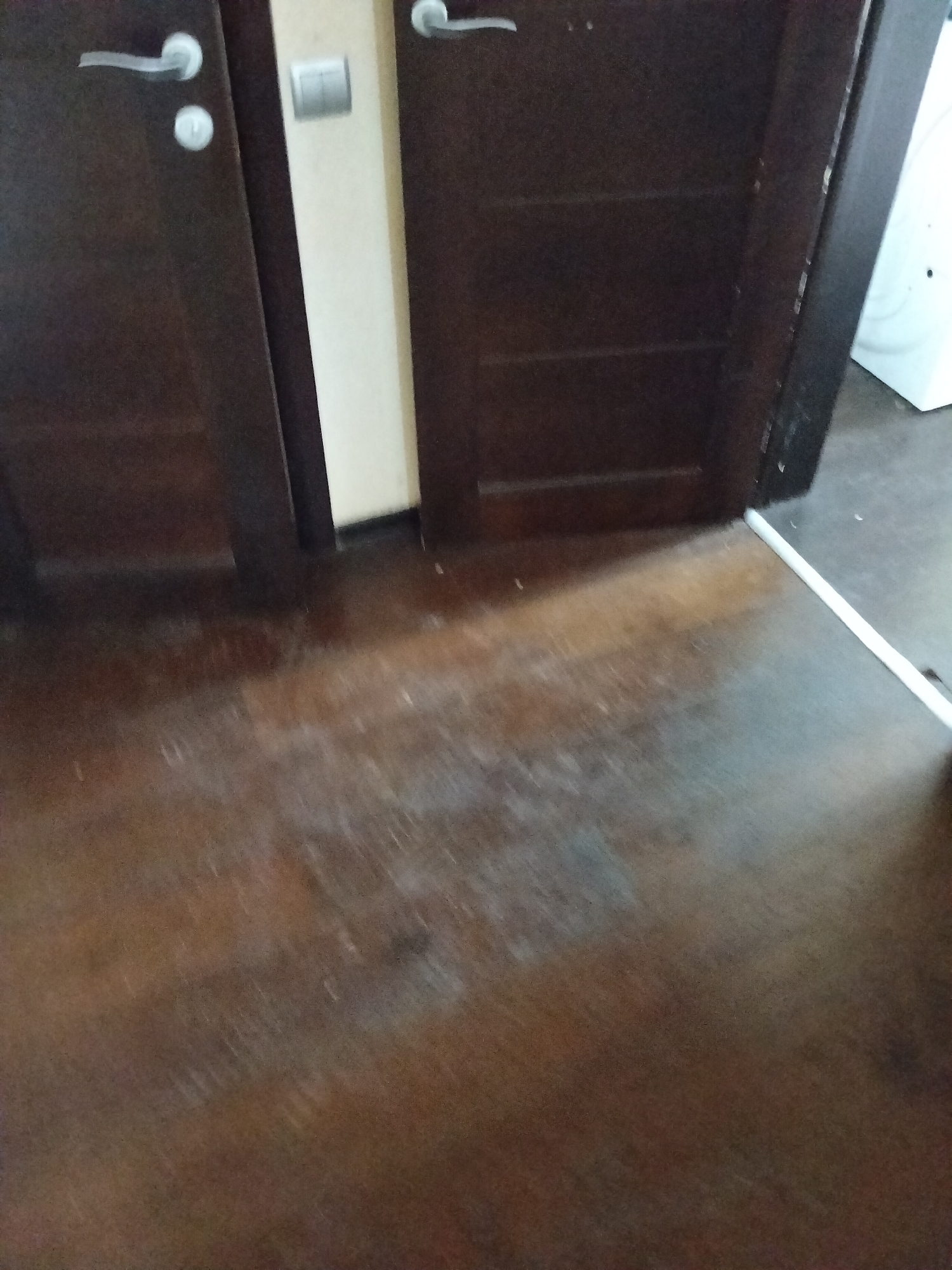 A low-angle, eye-level shot looks across a dark brown, wooden floor towards two closed, dark brown wooden doors. The door on the left is slightly ajar. Both doors have brushed nickel door handles. To the right of the left door, on a cream-colored wall, is a silver light switch. The floor appears dusty in patches. To the right of the doors, a portion of a white appliance, possibly a washing machine, is visible. A white baseboard runs along the wall to the right of the doors.