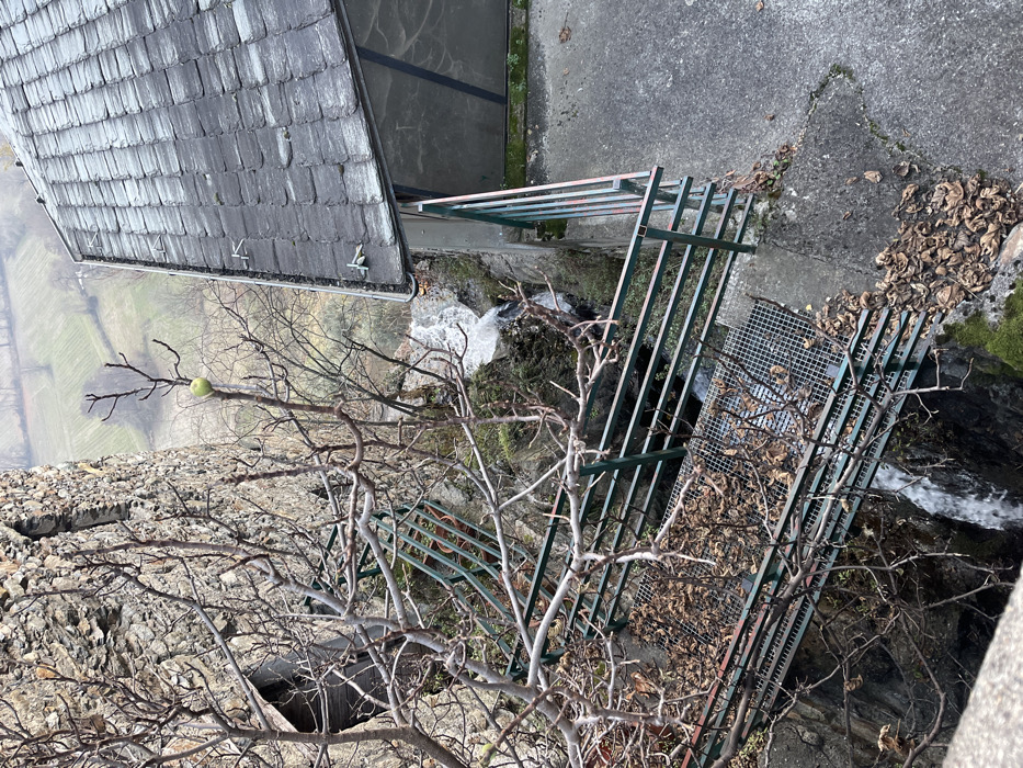 This image presents an elevated, static view of a rural landscape in Castione, Italy, likely during late autumn or early winter. In the foreground, a prominent bare deciduous tree features twisted, gnarled branches. A single, small, green apple remains attached to one of its upper branches. The immediate ground around the tree is rough, concrete or stone, and scattered with numerous brown, dried leaves.
To the right, a dark green metal railing forms a protective barrier, extending across the scene. Below this railing, a metal grate is visible, also partially covered with fallen leaves. Directly behind the railing, a small, white-foaming waterfall or stream cascades down a rocky crevice, indicating a natural water flow.
In the midground, to the left, a portion of a building with a dark grey, shingled roof is visible. The roof features several small, light-colored fixtures, possibly snow guards or anchors. Beyond this structure and receding into the distance, stretches a landscape of green fields, possibly terraced for agriculture like vineyards, which aligns with the given location context of Italy.
The lighting is soft and diffused, suggesting an overcast day with no harsh shadows, consistent with late autumn or early winter weather. The scene conveys a sense of quietude and nature. There are no people or visible text present in the image.