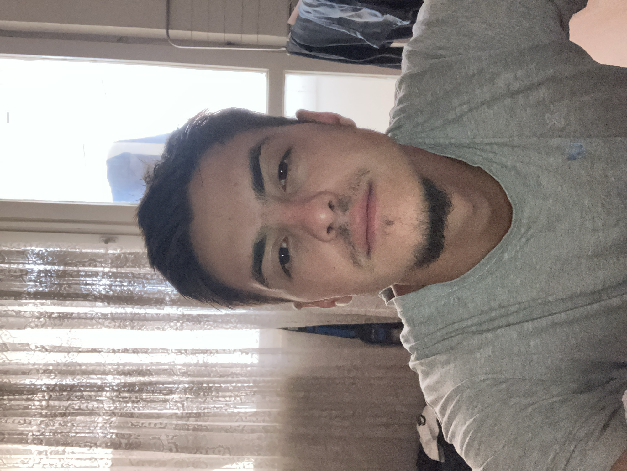 The image is a selfie of a young man with dark hair and a goatee, wearing a grey t-shirt. He is indoors, with a window and curtains visible in the background. Clothes are hanging on a drying rack to the right of the window. The lighting suggests it is daytime, with natural light coming from the window. The background elements, such as the curtains and window style, do not provide specific clues to a particular location within Plovdiv, Bulgaria.