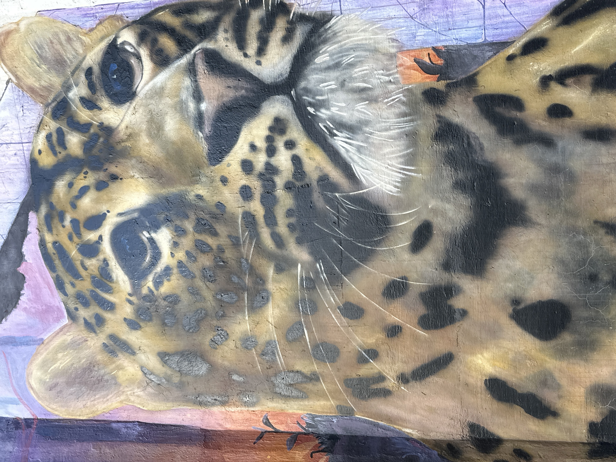 This image displays a close-up mural depicting the head and upper torso of a leopard or jaguar, located in the city of San Andrés Cholula, Mexico. The artwork features the animal's distinctive spotted coat, composed of tan, brown, and black rosettes, with prominent white whiskers emanating from its muzzle. The creature's dark eyes exhibit a blue reflection, and its gaze is directed slightly upwards and to the right. The background is an abstract composition of vertical color blocks, including shades of reddish-brown on the left, blending into purple and pink tones towards the top, and lighter blue on the right. A small plant silhouette is visible on the far left margin, and an orange, leaf-like form appears on the bottom right. The mural is painted directly onto a textured, weathered surface, showing minor cracks and surface irregularities beneath the paint layers.