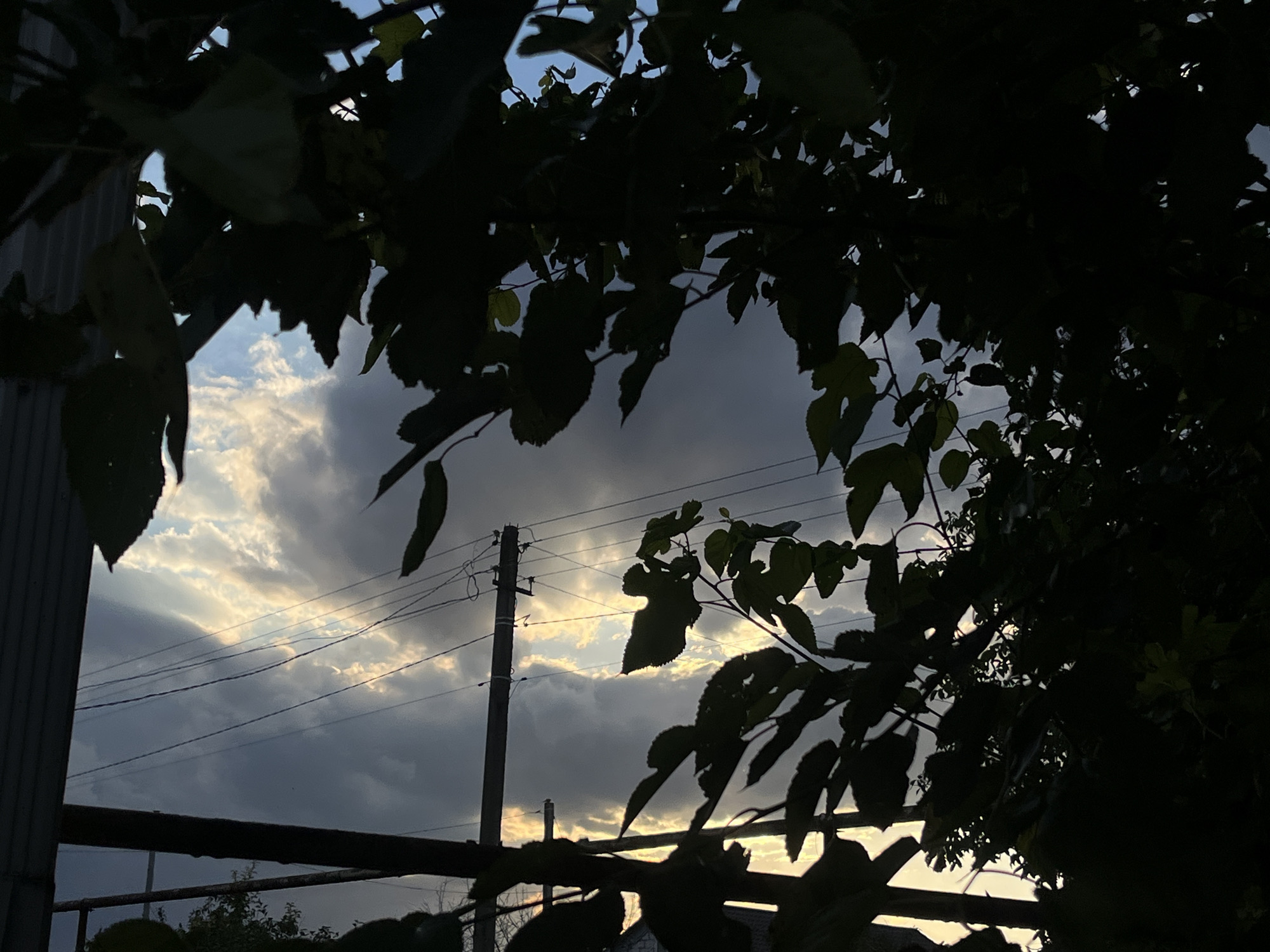 The image depicts a view of the sky through the silhouette of leaves and branches. The sky is filled with dramatic clouds, with rays of sunlight breaking through, suggesting either sunrise or sunset. Power lines and a utility pole are visible in the background, indicating an outdoor, possibly rural or suburban, setting. The foreground is dominated by dark, leafy foliage, creating a framing effect for the sky. There are no people or animals visible in the scene. The overall impression is one of natural beauty contrasted with man-made infrastructure. The location is identified as Novopokrovskaya, Russia.