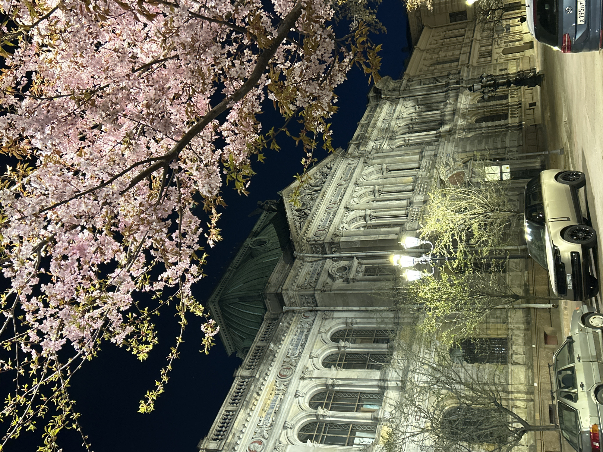 The image depicts a night scene in Saint Petersburg, Russia, showing a classical building, likely a library or government structure. The building has ornate architectural details, including arched windows, columns, and decorative facades. A blossoming cherry tree with pink flowers partially obscures the view on the left. Street lights illuminate the building and surrounding trees. Two cars are parked alongside the building on the right, one silver and one dark gray. The sky is dark, indicating nighttime.