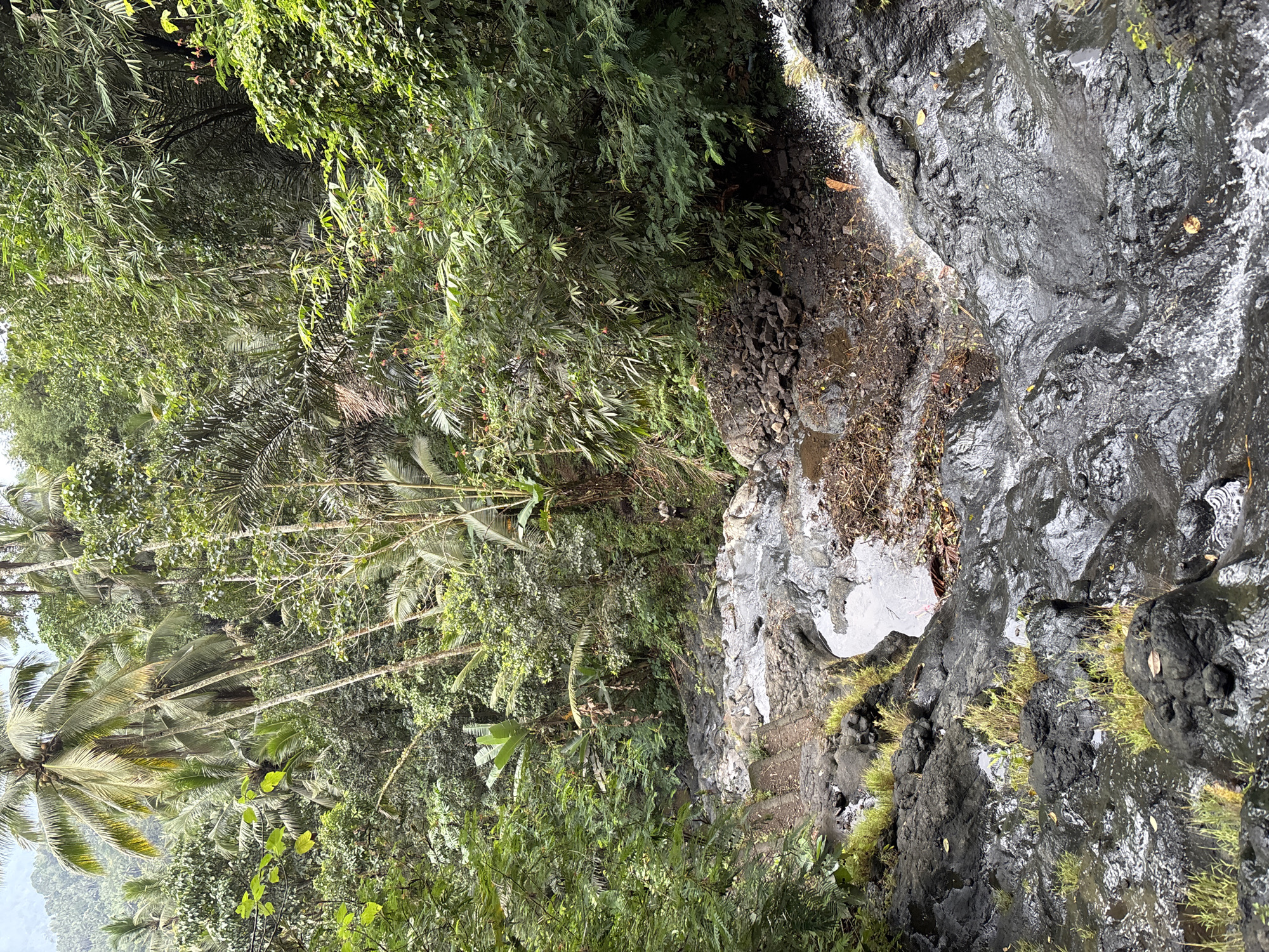 The image captures a natural landscape in Sidemen, Indonesia, focusing on a rocky, cascading waterfall surrounded by lush tropical vegetation. The foreground features dark, wet rocks with patches of green grass and small pools of water. The water flows over these rocks, creating a textured surface. Further back, the waterfall continues its descent, with white spray visible where the water hits the rocks. The midground reveals more rocky terrain and dense foliage, including palm trees and various green plants. In the background, a dense jungle canopy stretches towards a hazy sky, with the silhouettes of numerous trees dominating the scene. The overall impression is one of a vibrant, untamed natural environment.