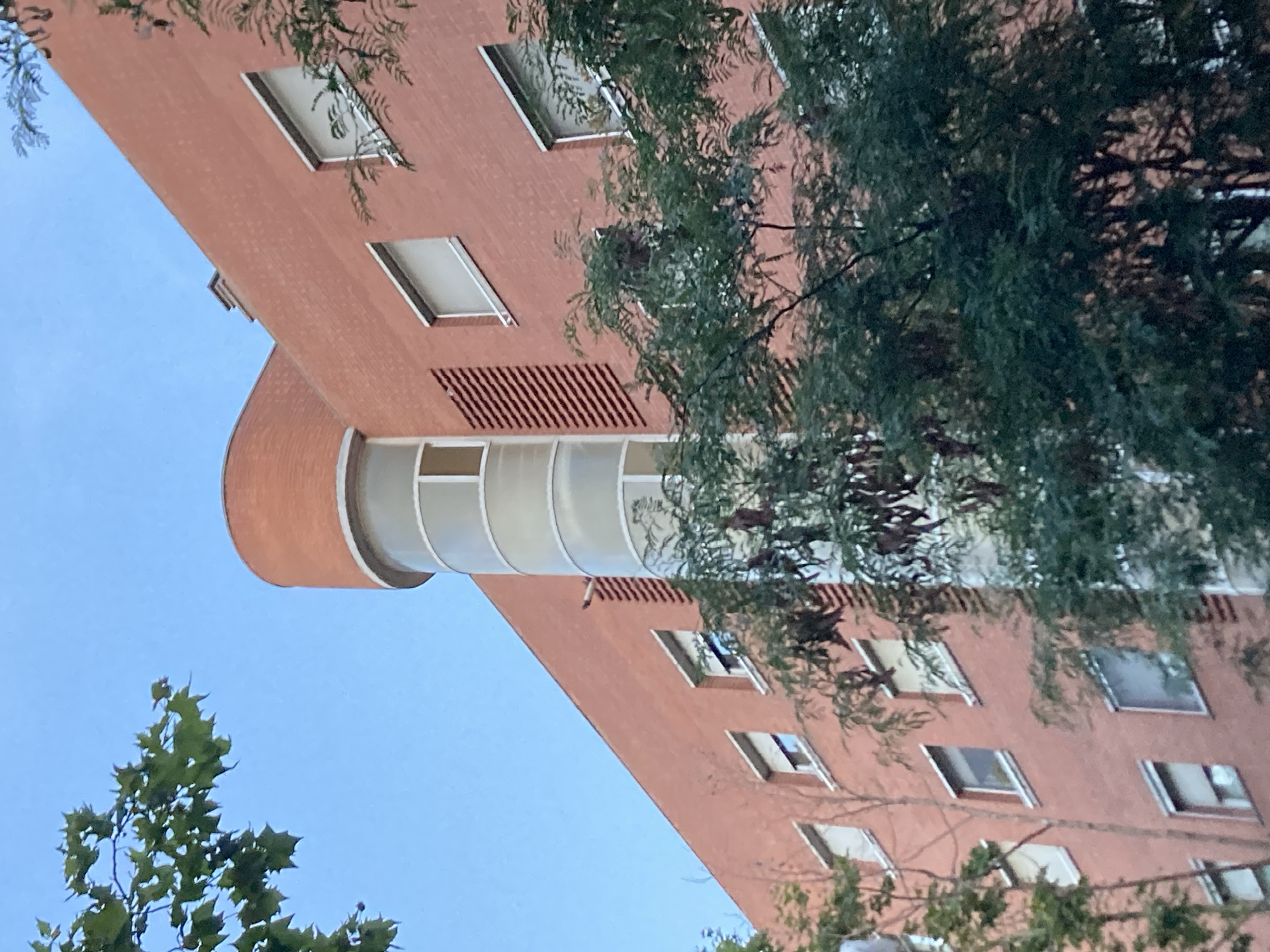 This is a photograph of a modern, multi-story building with a salmon-colored facade, partially obscured by the foliage of trees. The building features a series of rectangular windows, many of which reflect the bright blue sky. A distinctive curved section of the building, with a white frame and glass panels, is visible towards the top left. The photograph is taken from a low angle, looking upwards at the building.
The presence of lush green leaves and the clear blue sky suggest it is daytime, likely a pleasant weather day. The architecture of the building, particularly the curved element, hints at a contemporary design. The image is oriented with the top of the building towards the left of the frame, suggesting the photographer may have tilted their camera or the image has been rotated.
No people are visible in the image. No text is discernable. The overall impression is one of urban architecture set against a natural backdrop of trees and sky. The clean lines of the building contrast with the organic shapes of the leaves.