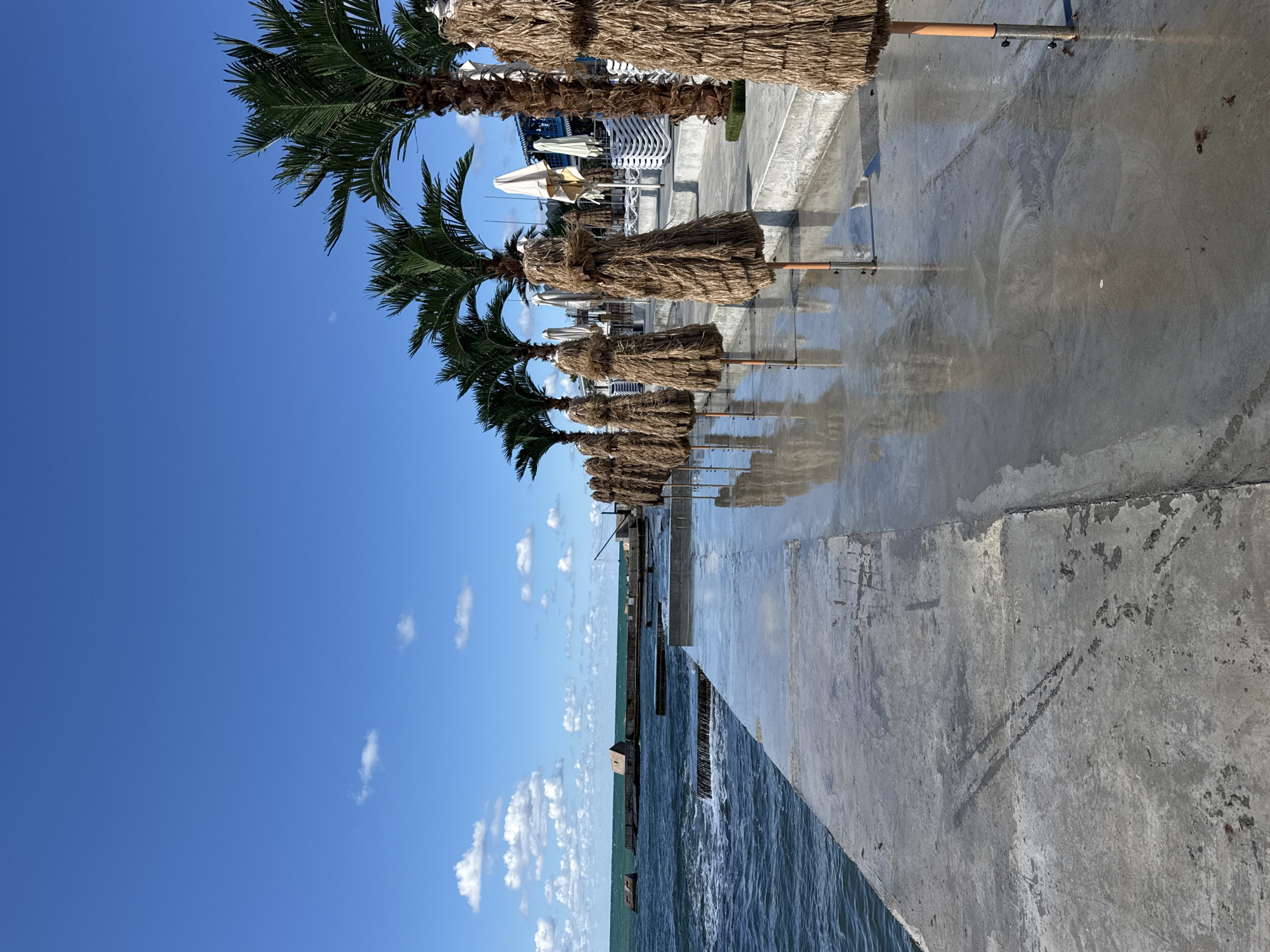 A wide concrete promenade runs alongside a body of dark blue water. The promenade is wet, reflecting the sky and the objects on it. A line of palm trees with green fronds extends into the background, interspersed with straw-covered umbrellas. Some white lounge chairs are visible behind the umbrellas. The sky is a clear bright blue with a few white, fluffy clouds. In the distance, a breakwater or pier extends into the water, with some concrete structures on it. The scene appears to be a resort or public space, likely located in Sevastopol, Ukraine, given the coastal setting and the presence of palm trees. There are no people visible in the image.