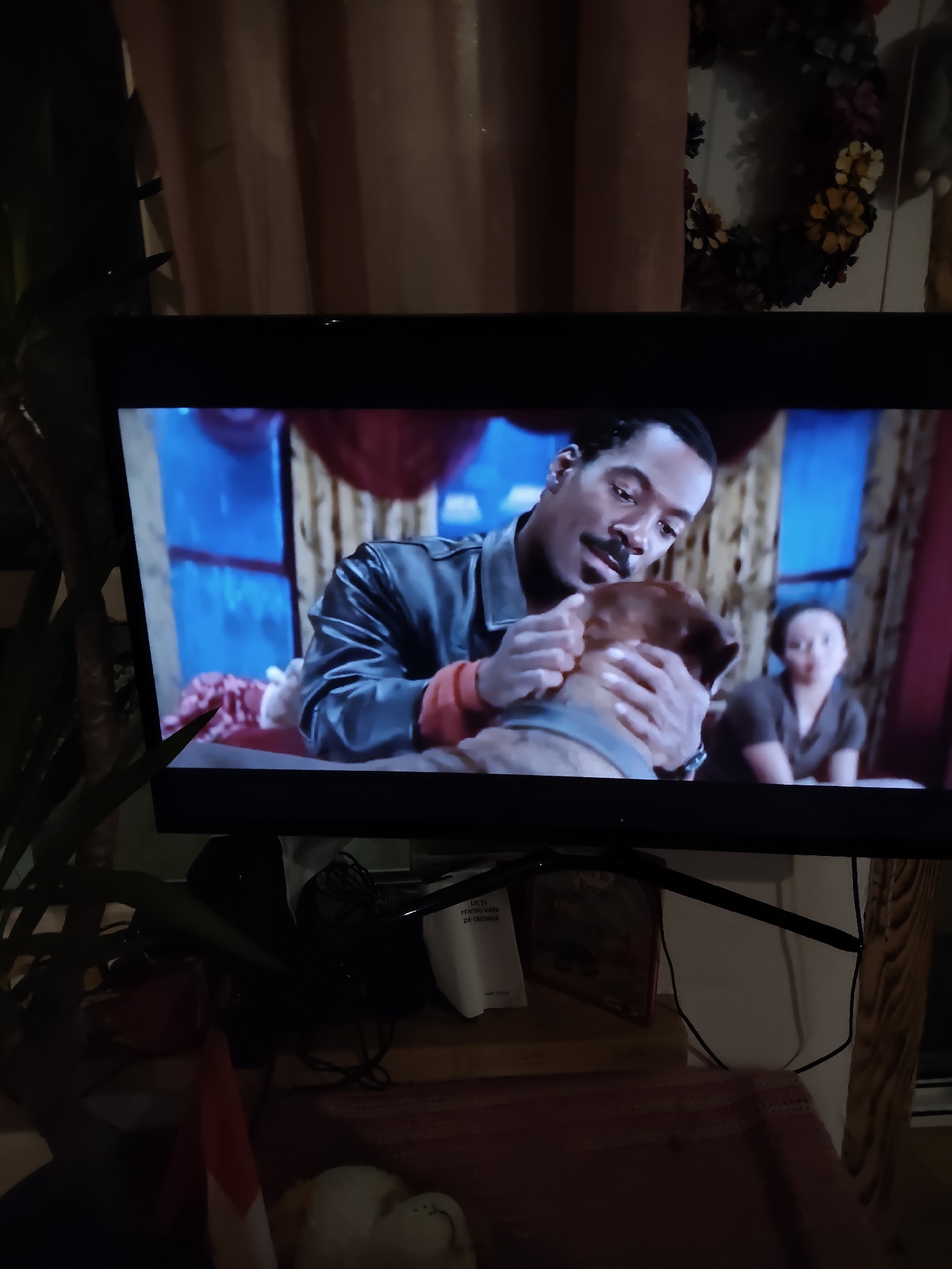 The image displays a television screen showing a scene from a movie. On the screen, a Black man with a mustache is petting a brown dog. Behind them, a blurred woman is visible. The background on the screen features blue and red drapes and a window. In the foreground, outside the television, a plant is partially visible on the left, and a shelf with various items, including what appears to be a printer and some papers, is on the right. The overall setting appears to be a domestic environment in Ungheni, Moldova, with the television being the central focus.