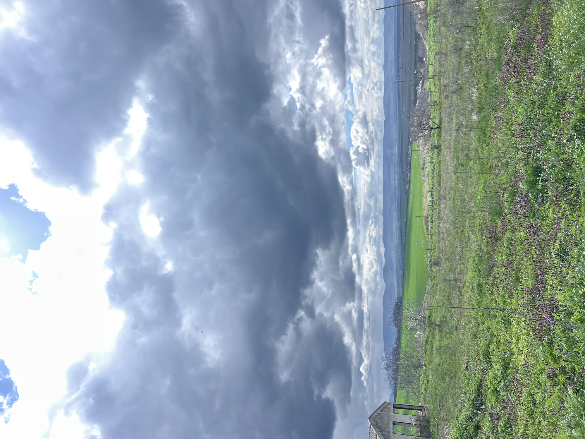 The image shows a landscape scene in Srednia, Bulgaria under a dramatic, cloudy sky. A field of green vegetation covers the right side of the frame, interspersed with patches of purple flowers. A wire fence runs through the field. In the foreground, a dilapidated concrete structure is visible. Beyond the field, there is a lighter green pasture and further back, a range of low mountains is discernible beneath the cloudy sky. The sky is dominated by grey storm clouds and patches of bright, sunlit clouds. Overhead power lines extend across the upper portion of the image.