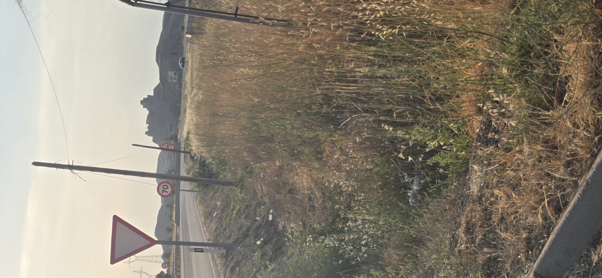 This image depicts a roadside scene in Loporzano, Spain. The foreground is dominated by dry, tall grasses and some green vegetation, with a concrete curb visible on the right. A tall wooden pole stands to the left, with electrical wires extending from it.
Several road signs are present. A triangular yield sign with a red border and white interior is prominent in the lower left. Further up the road, a circular speed limit sign with "70" in red is visible, also on a pole. Another similar speed limit sign is partially visible behind it. In the background, a dark-colored car is driving on a paved road that curves away to the left.
Beyond the road, rolling hills rise, with what appears to be the ruins of a castle or old structure on the crest of one hill. The sky is overcast, suggesting it might be early morning or late afternoon. The overall impression is a rural, somewhat arid landscape with signs of infrastructure and historical elements. There are no people visible in the image.