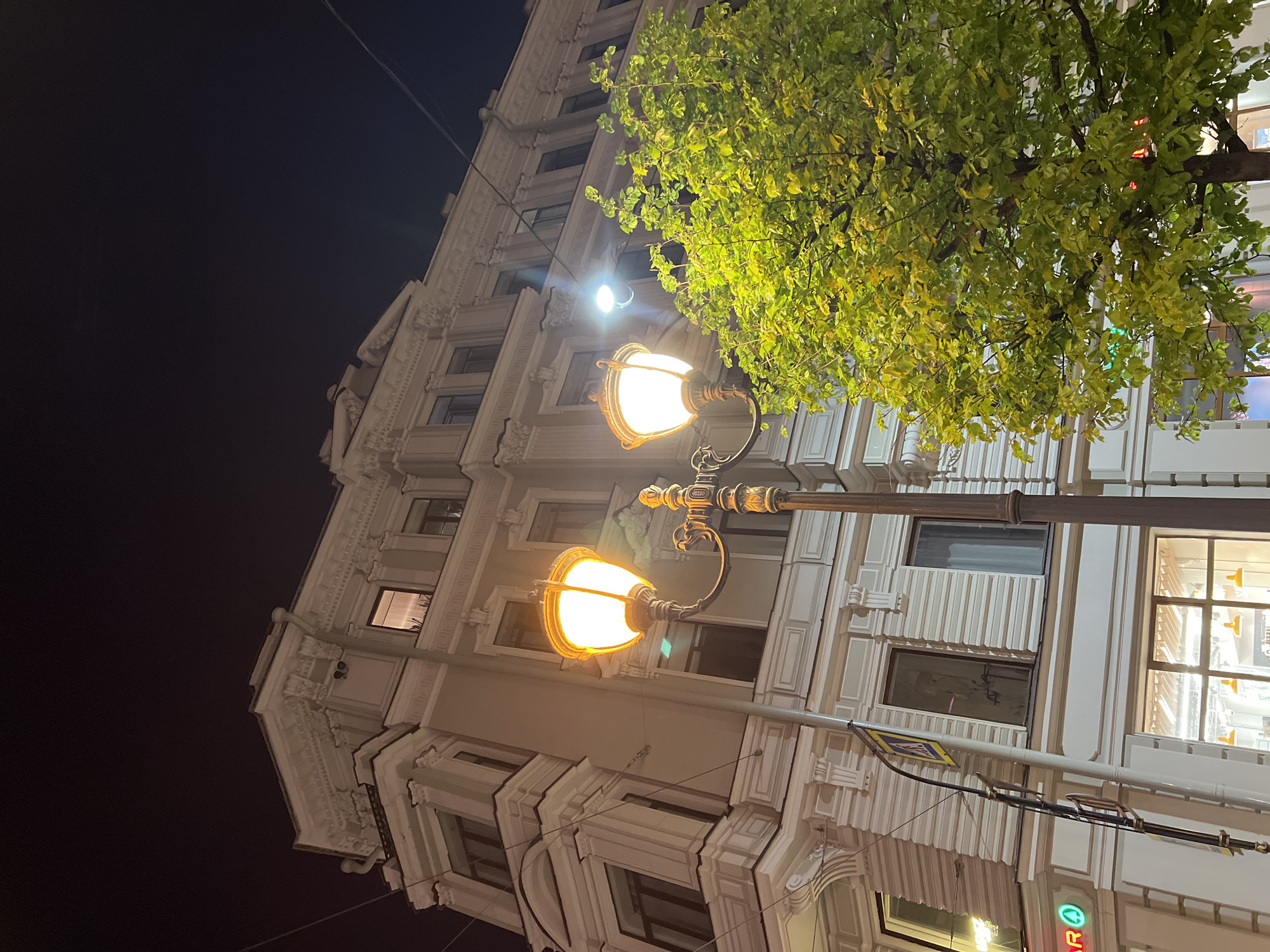 The image shows a building at night, likely in Saint Petersburg, Russia, based on the architecture. The building is ornate with detailed facade work. In the foreground is a lamppost with two glowing lamps. A tree with green leaves is partially visible, illuminated by the street light and likely other sources. The sky is dark, suggesting a night scene. Electrical wires run across the building's facade. Light from the building's windows and a neon sign are visible.