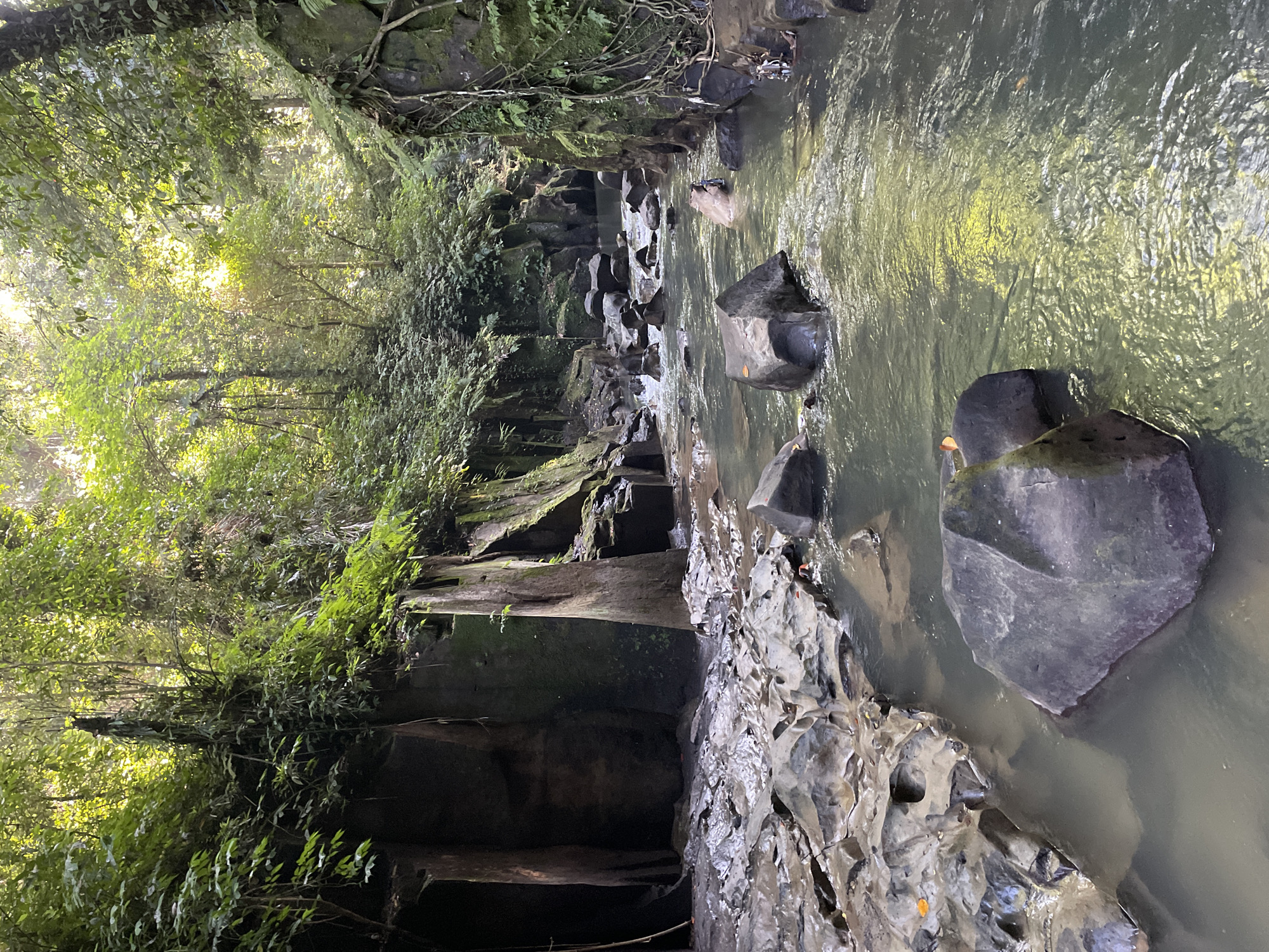 The image depicts a river flowing through a rocky gorge in the city of Gianyar, Indonesia. The water is murky and reflects the sunlight filtering through the dense vegetation on either side. Large boulders are scattered throughout the riverbed and along the banks. The gorge walls are covered in moss and greenery. The scene is devoid of people.