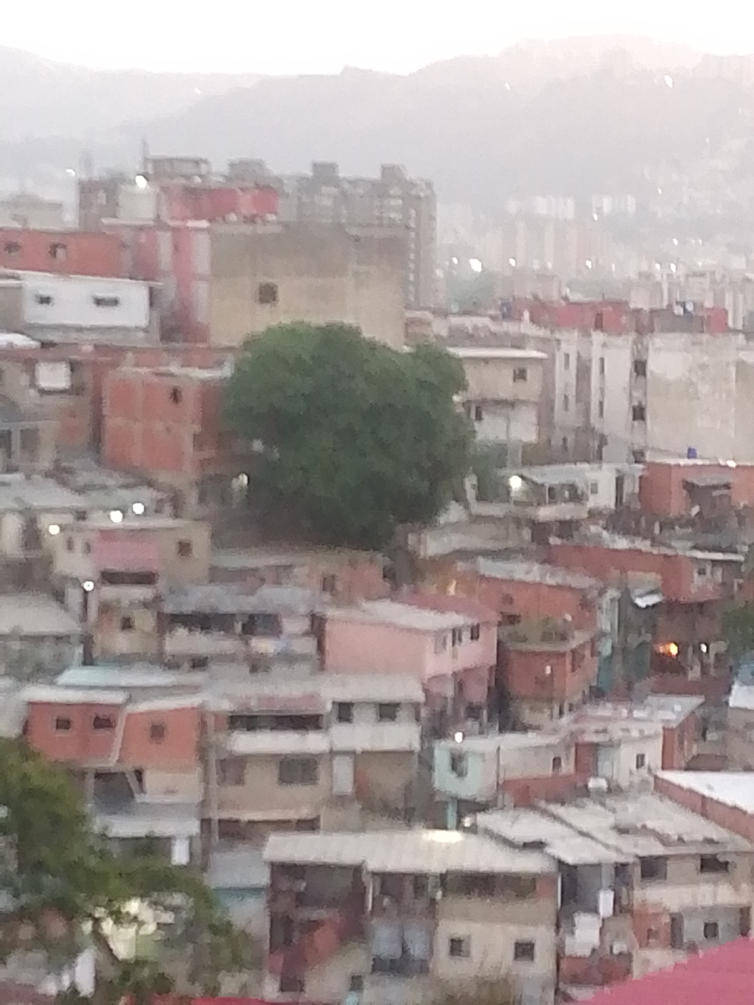 The image depicts a densely packed urban area in Caracas, Venezuela. The scene is dominated by tightly clustered buildings of varying sizes and construction materials, with brick and concrete being prominent. The buildings are generally low-rise, with a few taller structures visible in the distance. A large, dark green tree stands out in the middle ground, partially obscuring some of the buildings. The overall atmosphere is hazy or overcast, with the mountains in the background appearing indistinct. The scene suggests a low-income neighborhood or favela due to the density of the buildings and the apparent lack of formal planning.