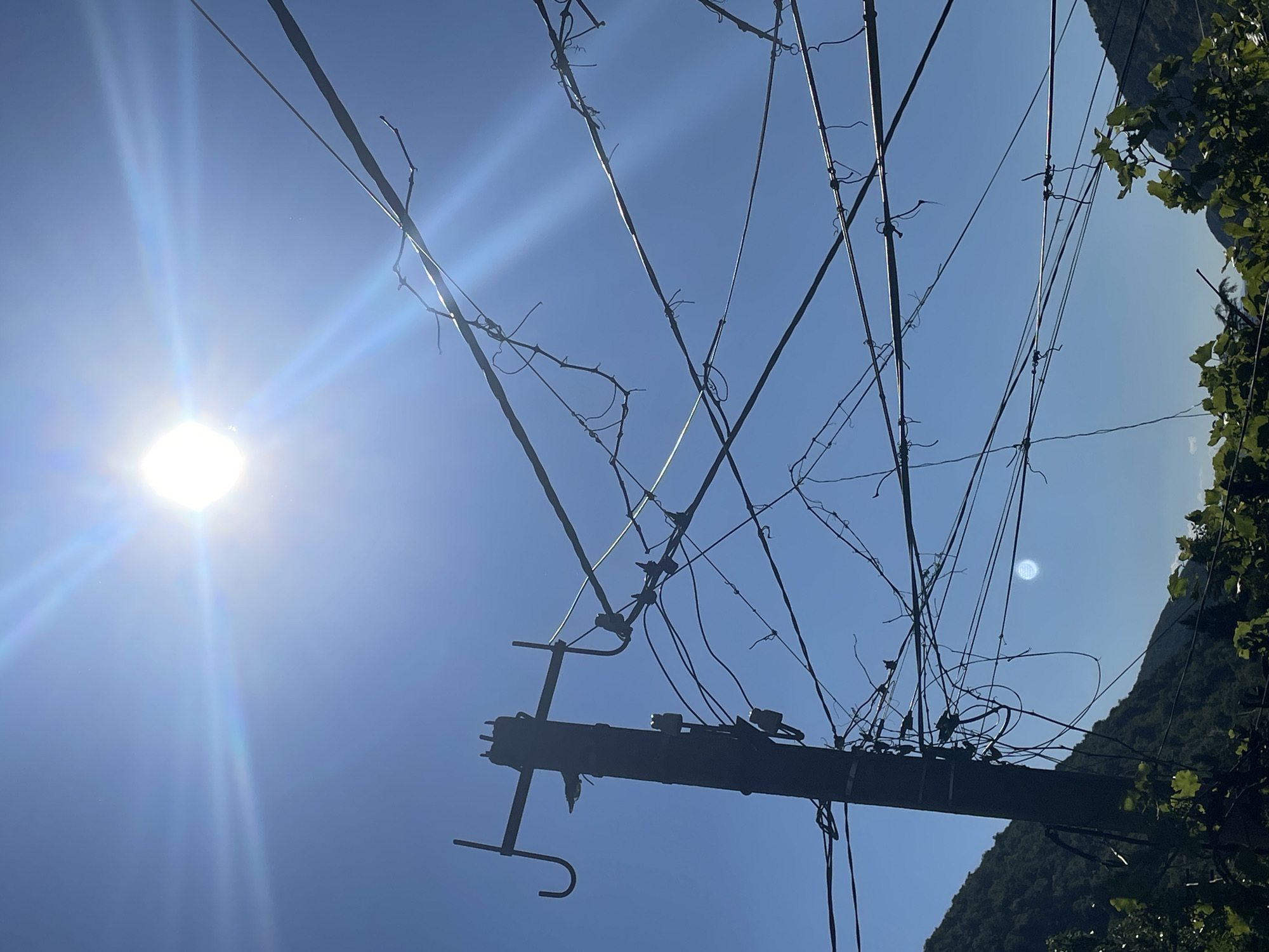 The media file depicts a low-angle shot looking up at a clear, bright blue sky, with the sun prominently shining in the upper left quadrant. The sun is a bright, almost blinding white orb, emitting strong light rays that create a lens flare effect across the sky. In the foreground, a network of thin, dark wires and branches crisscrosses the frame, silhouetted against the sky. These appear to be part of a vineyard trellis system, with some of the branches being bare and others showing small green leaves, suggesting it might be late spring or early summer.
Dominating the central and lower portions of the image is a dark, horizontal beam, likely a wooden or metal post that supports the wires. Attached to this beam are various clips and attachments used to secure the wires. To the right, the lush green foliage of more vines is visible, bordering a distant, tree-covered hillside. The hillside itself is in shadow, indicating the direction of the sun. The overall setting suggests an outdoor agricultural environment, specifically a vineyard.
There is no visible text in the image. The time of day is clearly midday, given the high position and intense brightness of the sun. The weather is fair and sunny, with no clouds present. The location cues, such as the vineyard trellis and the mountainous terrain, combined with the provided context of Mtskheta, Georgia, place the scene in this region. The image evokes a sense of warmth, brightness, and the natural beauty of a vineyard on a sunny day.