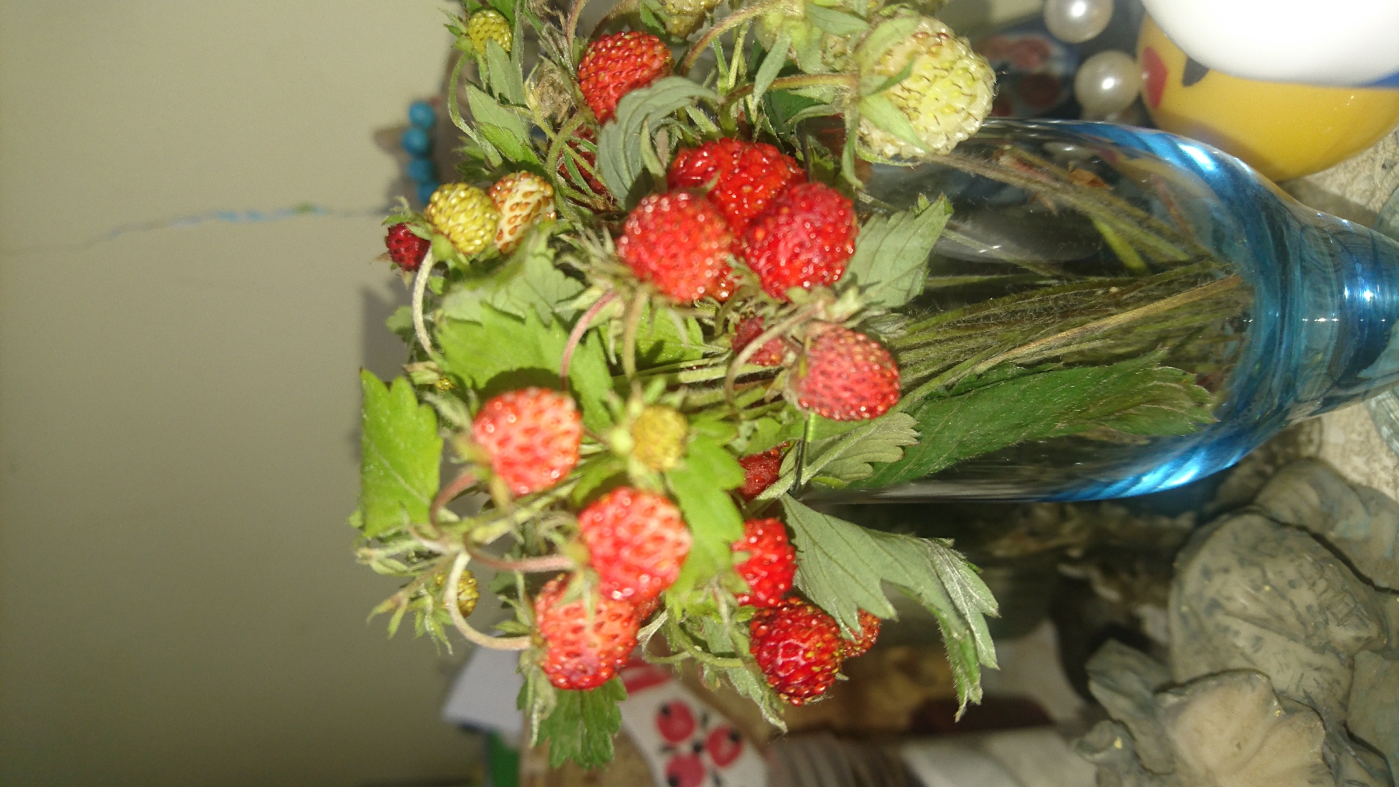 A close-up, slightly blurry, vertically oriented photograph shows a glass vase filled with wild strawberries. The vase is made of blue glass and is partially filled with water. The strawberries are a mix of red and green, with some leaves and stems visible. The background is out of focus, but appears to be a wall and some objects on a surface. The location in Dvirets, Ukraine is not determinable from the image.