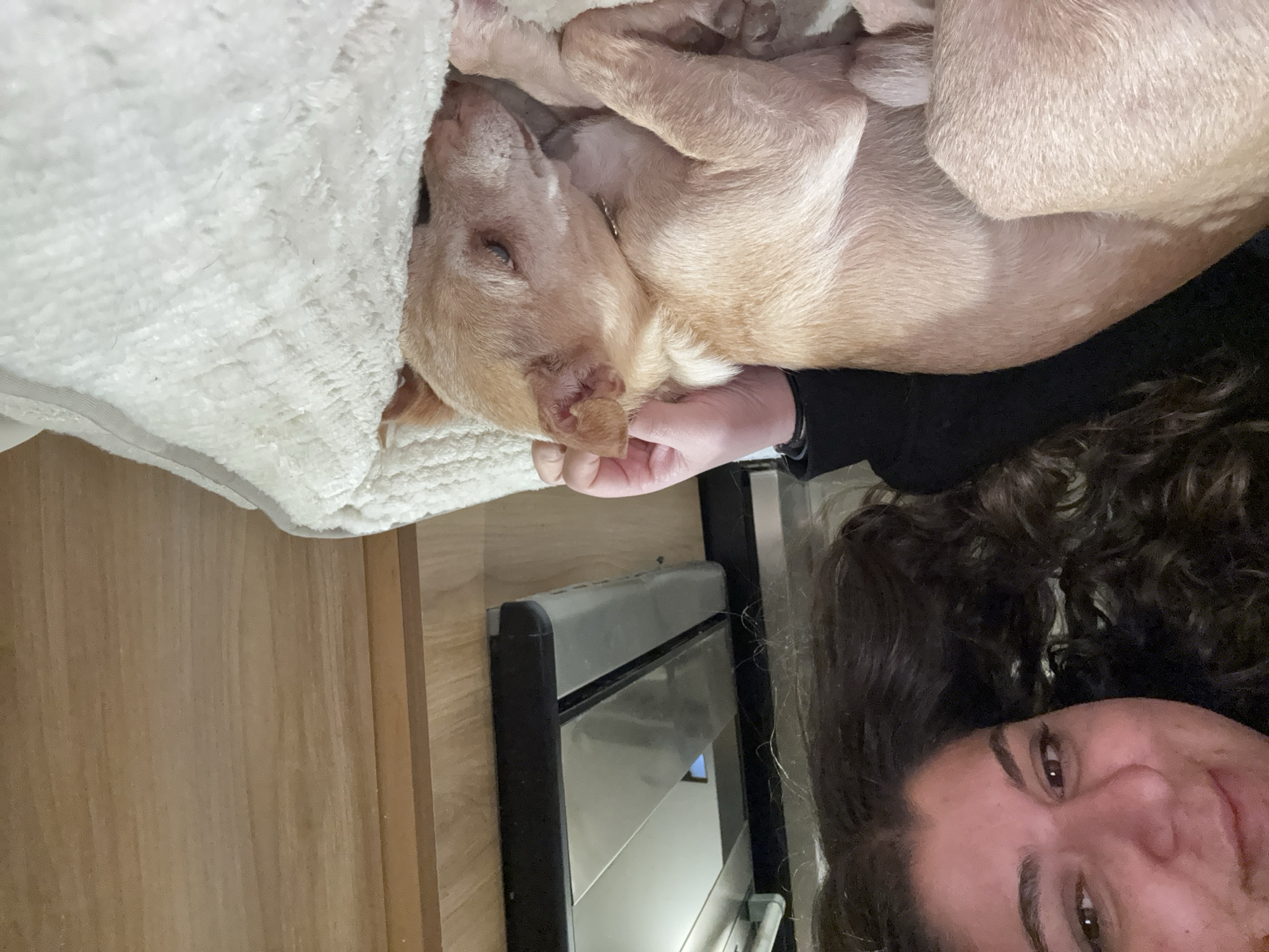 A selfie-style photograph, rotated 90 degrees counter-clockwise, captures a fair-skinned woman with brown curly hair smiling slightly into the camera. Her left eye is more visible than her right. Behind her, a metal appliance with a reflective surface is visible, as well as a wood-paneled wall. Above her, a light brown dog is sleeping on a white textured surface, possibly a blanket. A hand is gently placed on the dog’s face. The location is not discernible from the provided image.