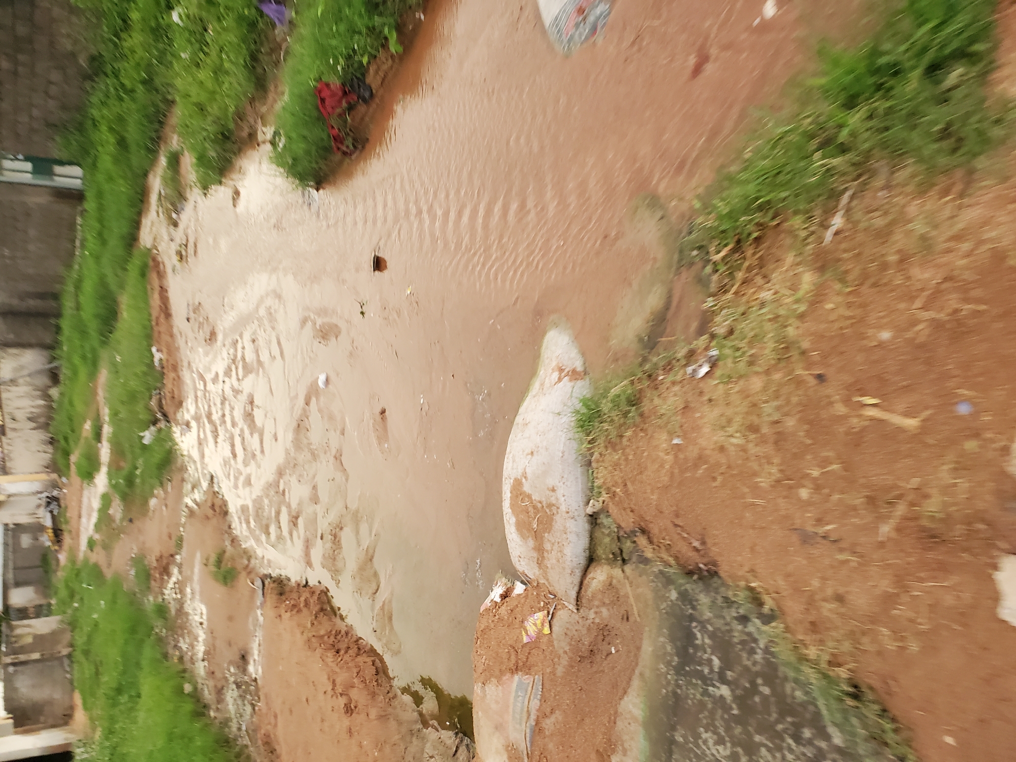 The image depicts a flooded dirt road in a residential area of Jalingo, Nigeria. The road is covered in reddish-brown water, indicating recent rainfall. The water flows in a channel, suggesting a drainage path or a lack thereof. On either side of the road, there is overgrown green grass and reddish-brown dirt. In the foreground, there are sandbags partially submerged in the water, likely placed to mitigate flooding. In the background, there are low-rise buildings with cement walls, typical of many structures in Jalingo. Some debris, including plastic bags and what appears to be fabric, is visible in and around the water. The overall scene conveys a sense of the impact of heavy rains on the urban infrastructure in Jalingo.