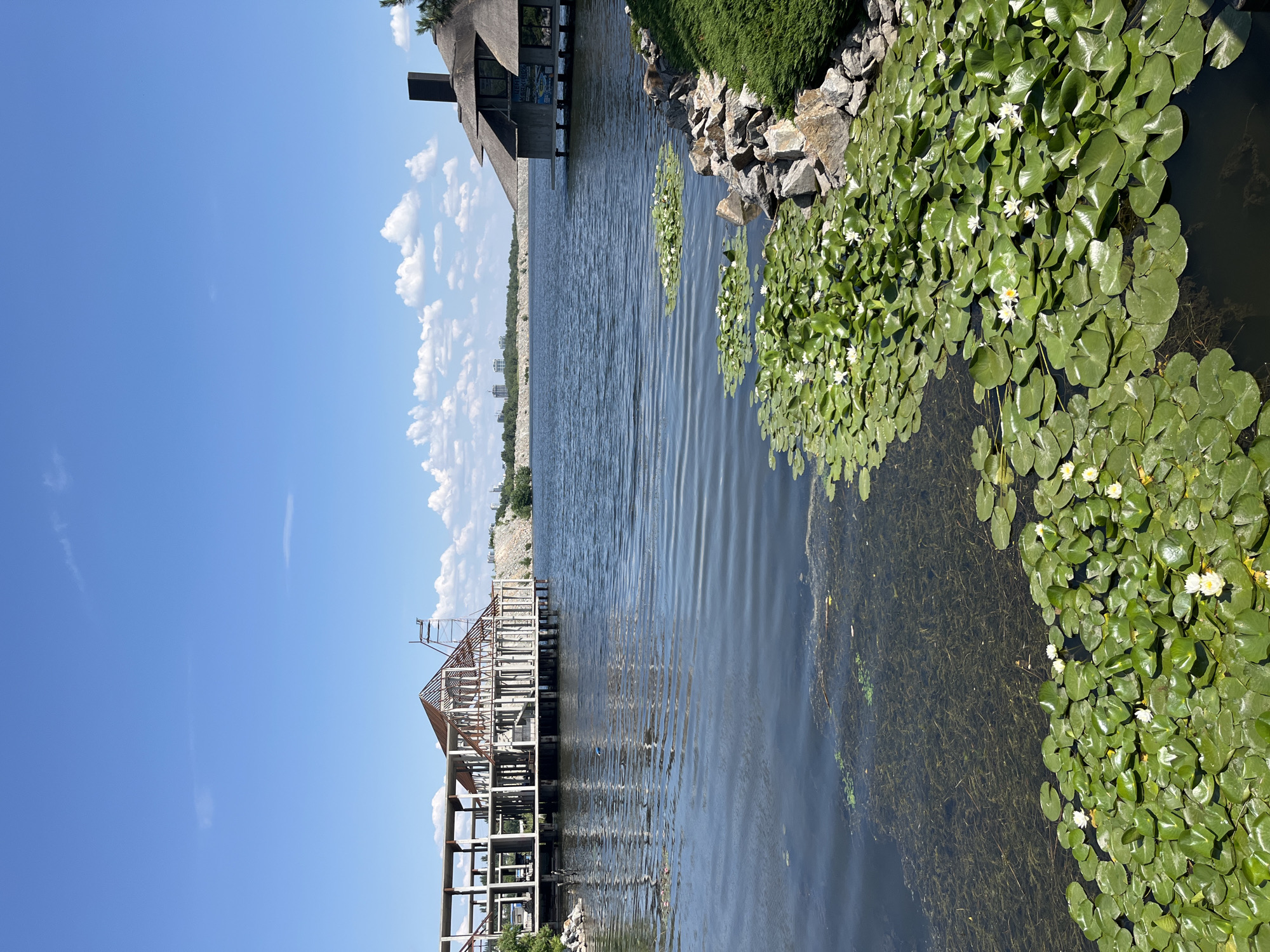 The image depicts a tranquil waterfront scene in Dnipro, Ukraine, likely at the Dnipro River embankment. The foreground is dominated by a lush carpet of lily pads and white water lilies floating on the dark water. To the right, the rocky shoreline is adorned with neatly trimmed green bushes. In the mid-ground, a partially constructed building stands on stilts over the water, its skeletal framework exposed. Further to the right, a charming building with a thatched roof and a prominent chimney is situated by the water's edge. The background reveals a distant city skyline under a clear blue sky dotted with fluffy white clouds. The overall impression is one of serene natural beauty intertwined with ongoing development.