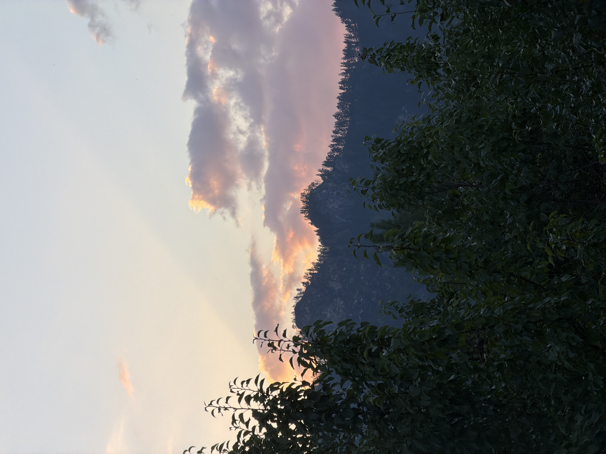 This is a vertical, eye-level photograph of a mountainous landscape at dusk. The foreground is dominated by dark green foliage, likely from trees or bushes, obscuring the lower portion of the image. Behind the foliage, a dark mountain range stretches across the middle ground, its silhouette sharply defined against the twilight sky. The mountain is covered in a dense line of trees, their dark forms creating a textured band along the ridge. The sky above is a gradient of soft blues and purples, transitioning to a pale pink and orange hue near the horizon, indicating the setting sun. wisps of pink and orange clouds are scattered across the sky, catching the last light. The overall atmosphere is serene and natural, suggesting a rural or wilderness setting outside of a city. The location is identified as Askat, Russia. There are no people or specific man-made structures visible in the image.