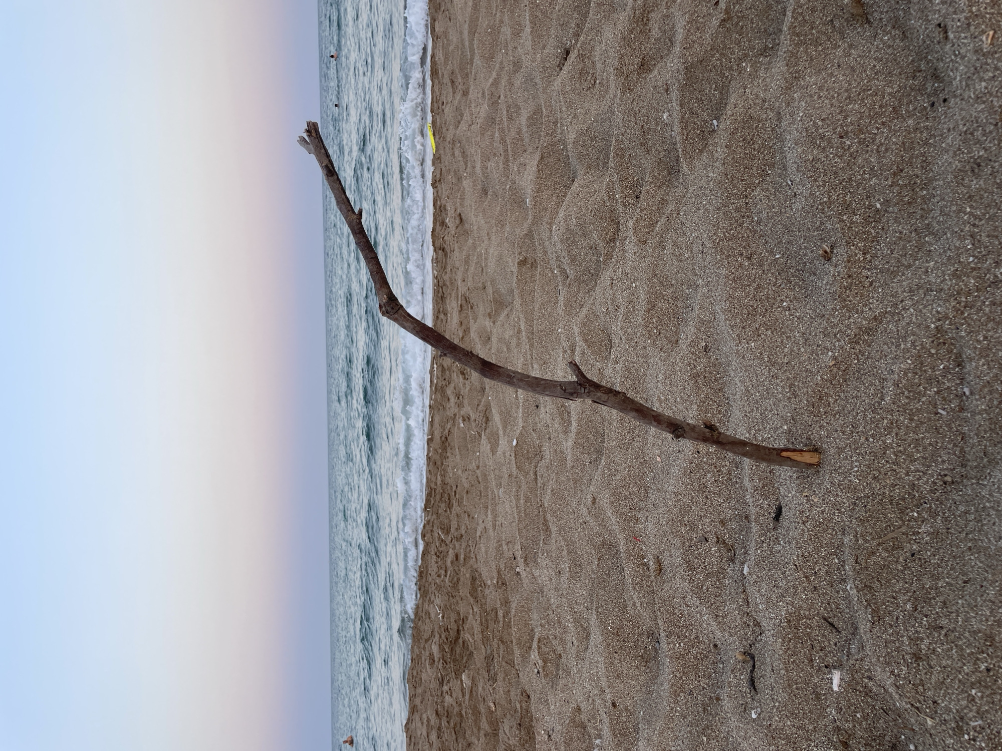 A driftwood branch stands vertically in the sand on a beach. The branch is brown and rough, with a jagged break at the top. The sand is a light brown color and appears damp, with small waves and ripples. In the background, the sea is a deep blue and the sky is a gradient of pale pink and blue, indicative of dusk or dawn. There are a few small figures of people visible in the water. The scene is located on a beach in Trikomo, Northern Cyprus.