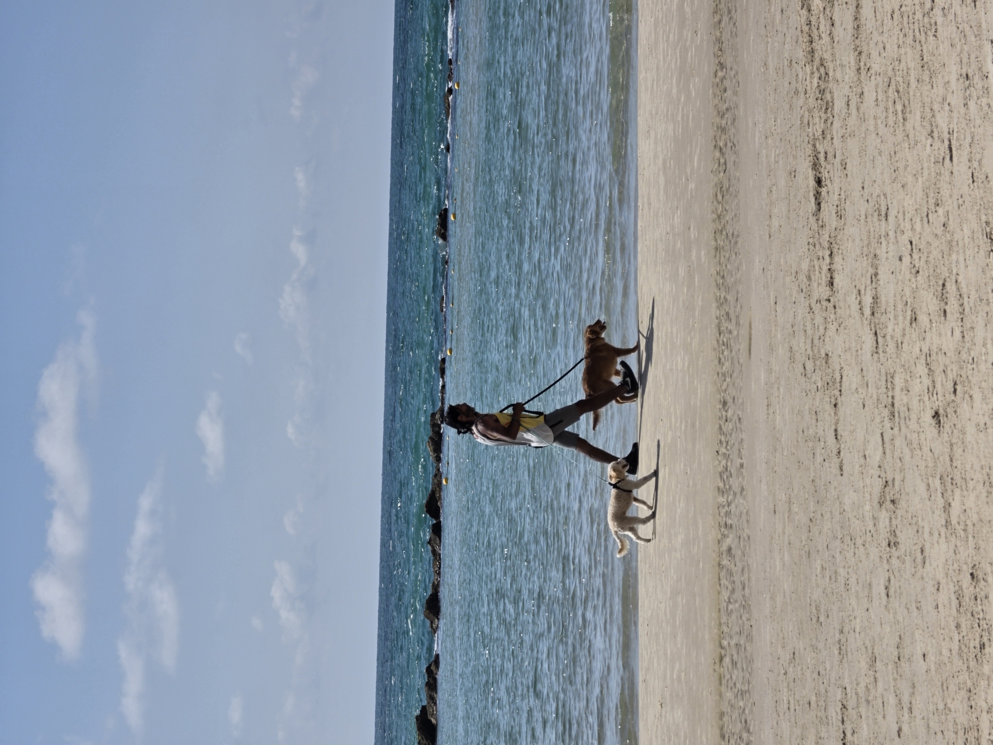 The image shows a person walking two dogs on a beach. The beach is located in Bat Yam, Israel, as indicated by the breakwater structure in the background. The person is wearing a tank top, shorts and walking shoes. One dog is a golden retriever or similar breed, and the other appears to be a smaller, lighter-colored breed, possibly a poodle mix. The person is holding leashes connecting to both dogs. The environment includes the beach with visible sand texture, the ocean, and a sky with light cloud cover. A breakwater of rocks extends into the water, running parallel to the beach.
