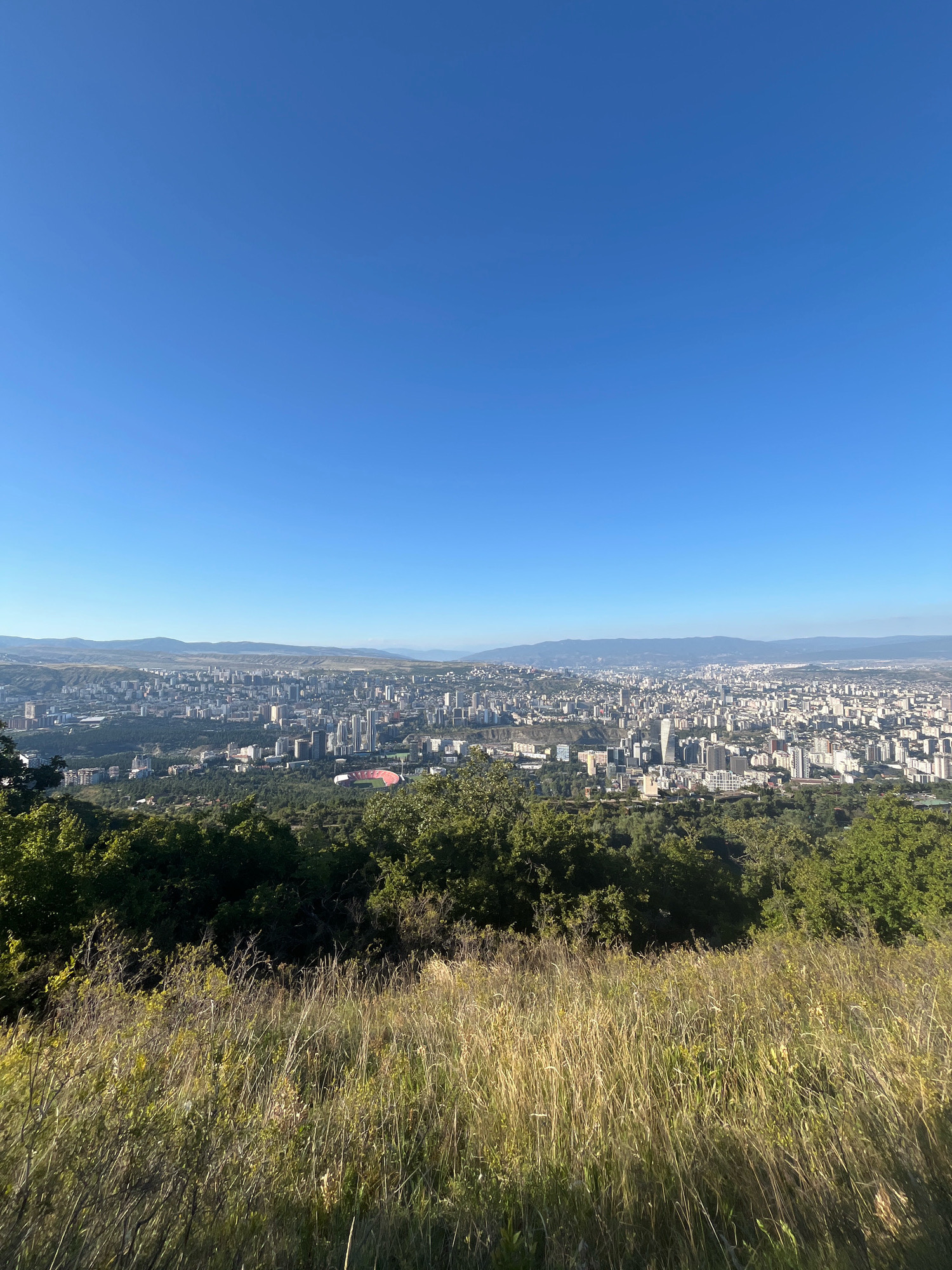 The image is a high-angle panoramic view of the city of Tbilisi, Georgia, seen from a hilltop overlooking the urban landscape. The foreground is dominated by dry, tall grass and wildflowers, interspersed with green bushes and trees. Beyond this natural setting, the expansive city stretches out, characterized by numerous buildings of varying heights and architectural styles, predominantly white and grey. Tall, modern skyscrapers are visible among the denser residential areas. In the middle ground, a stadium with a red roof is clearly discernible, surrounded by greenery. Further in the distance, rolling hills and mountains form a natural backdrop to the city, shrouded in a light haze under a clear, bright blue sky. The overall impression is one of a vast urban area nestled within a natural landscape under a serene sky.