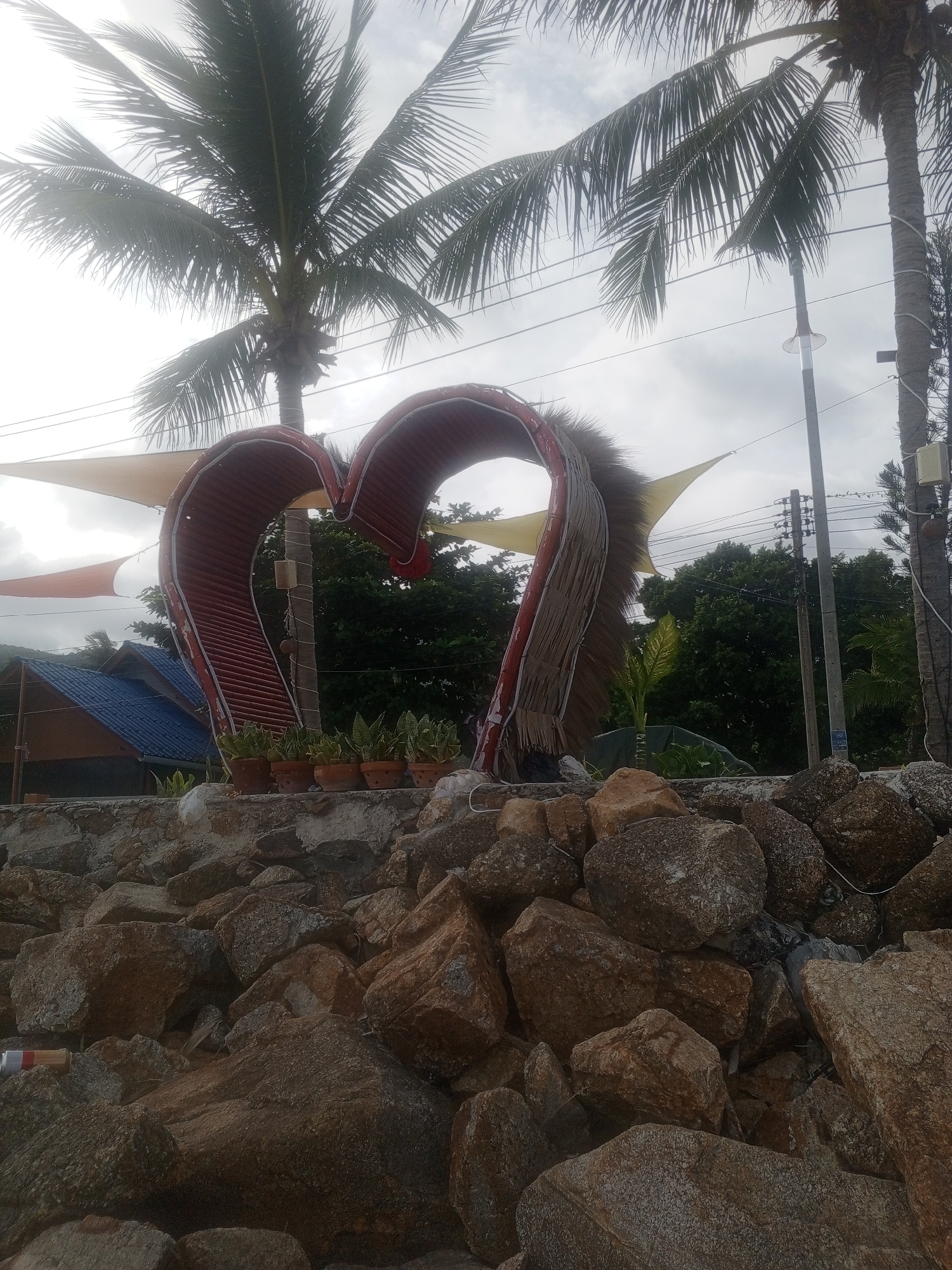 A close-up, low-angle shot of a large heart-shaped sculpture is the focal point of this outdoor scene, set against a backdrop of palm trees and an overcast sky. The sculpture, made from what appears to be corrugated metal and straw-like material, is situated on a stone embankment. Several potted plants, including succulents, are neatly arranged on the embankment behind the sculpture. To the left, a small building with a blue roof is partially visible. Electrical poles and wires are present in the background, suggesting a developed area. The foreground is dominated by a pile of large, rough rocks. The scene is static, with no people or animals visible. The lighting is diffused, indicating a cloudy day.
