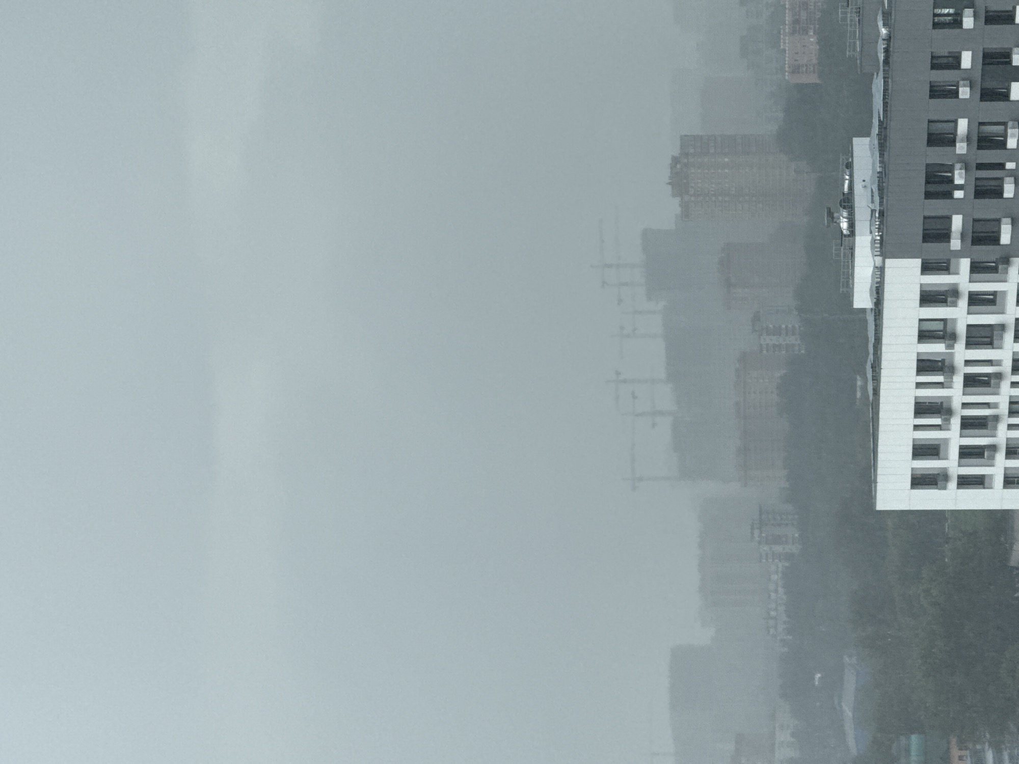 The image depicts a dense urban landscape under a heavy, overcast sky, likely during inclement weather such as fog or rain, in Lyubertsy, Russia. The visibility is significantly reduced, with distant structures appearing as muted silhouettes. In the foreground, a modern, multi-story residential building with a white and gray facade is prominent. The building features numerous windows and what appear to be air conditioning units. Further back, the cityscape is characterized by a dense collection of residential buildings and construction sites, indicated by the presence of several tower cranes. The vegetation, primarily trees, forms a dark, indistinct layer between the foreground and the background structures. The overall atmosphere is somber and diffused, with a lack of clear details due to the atmospheric conditions. There are no visible people or animals in the frame, and no specific actions or interactions are observable.