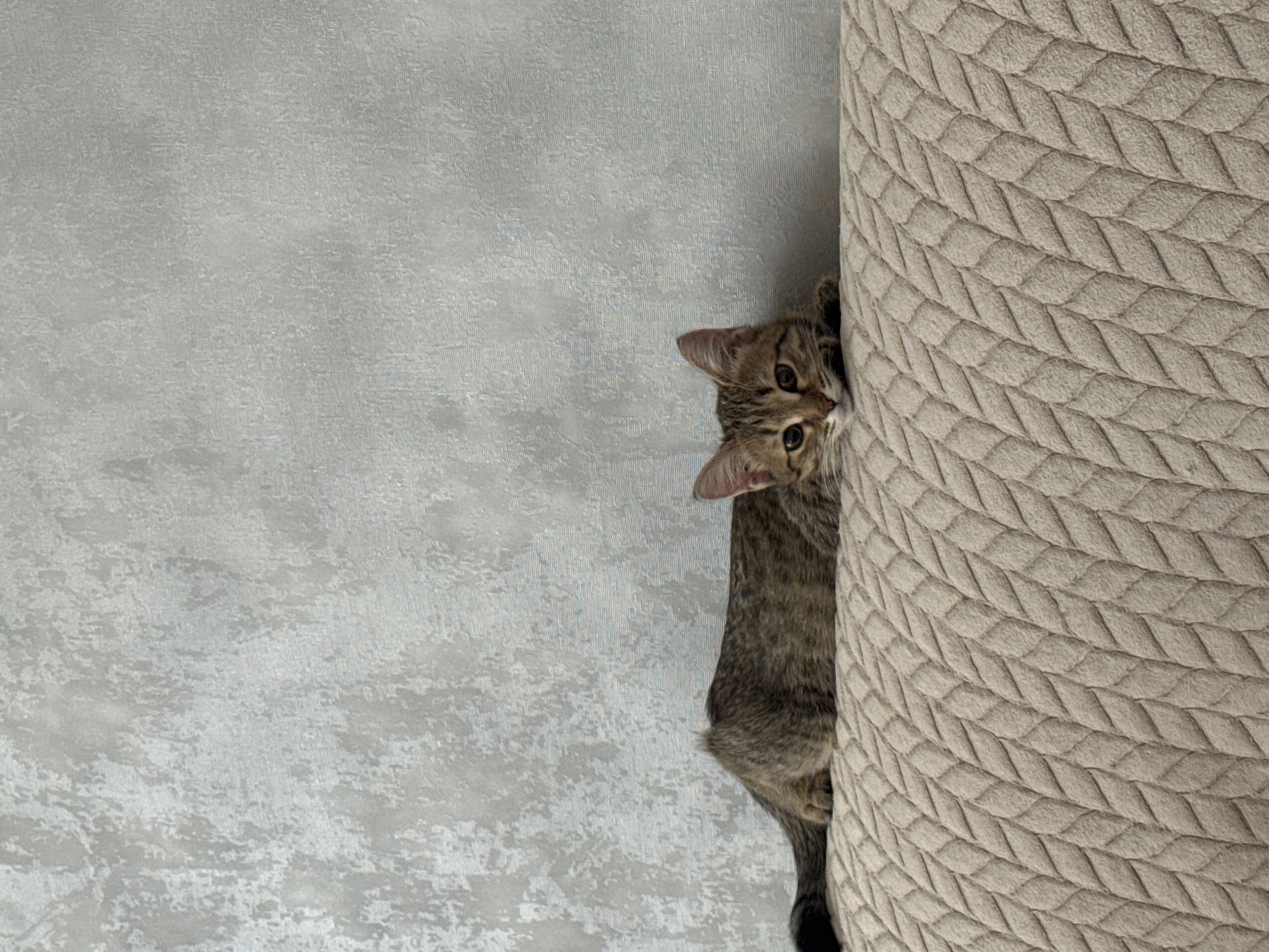 A tabby cat peeks out from behind a cylindrical, woven-textured object that is placed against a textured, light gray wall. The cat is brown and gray with dark stripes. The cylindrical object has a braided, woven texture and is light beige in color. The wall is textured and a light gray color. The image was taken indoors. The location is Chaikovsky, Russia.