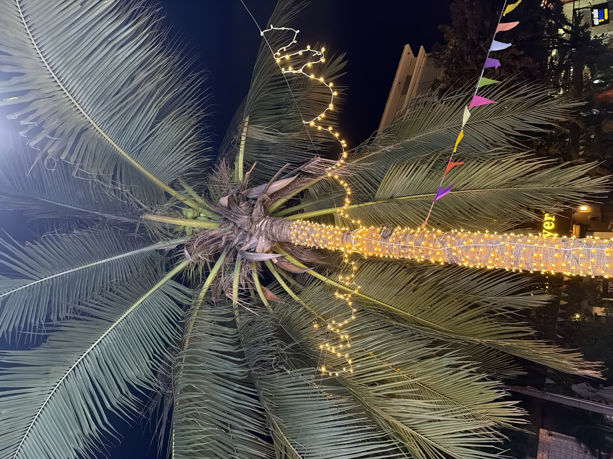 This image depicts a palm tree decorated with string lights and flags at night in the city of Da Nang, Vietnam. The palm tree's trunk is wrapped in a dense line of small, warm-toned LED string lights. Further up, more string lights are draped horizontally between the fronds, forming a wavy pattern. A string of small, colorful triangular flags is also visible, suspended from left to right in the mid-ground, adding to the festive atmosphere. The background shows a building and dark foliage against a night sky. A sign with the word "yer" is partially visible on the lower right side of the palm tree.
