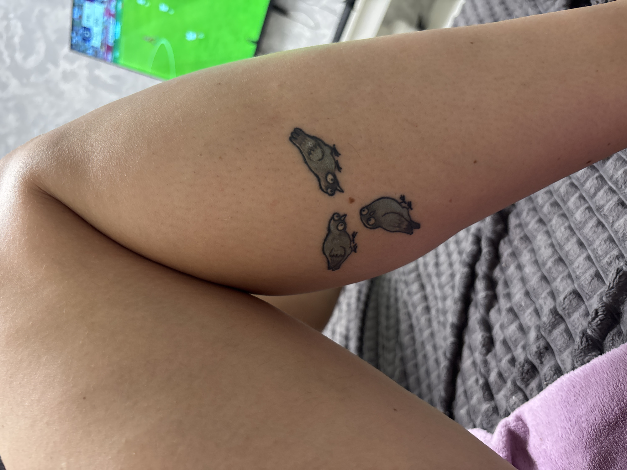 In this image, a tattoo of three small birds is visible on a person's left leg. Two of the birds are dark gray with wide, cartoonish eyes, and one is a lighter gray, resembling an owl, also with large eyes. The birds are arranged in a triangular formation. The background consists of a gray, textured blanket and a portion of a television screen displaying a soccer game. The image does not contain any information that would allow for the identification of its location in Tolyatti, Russia.