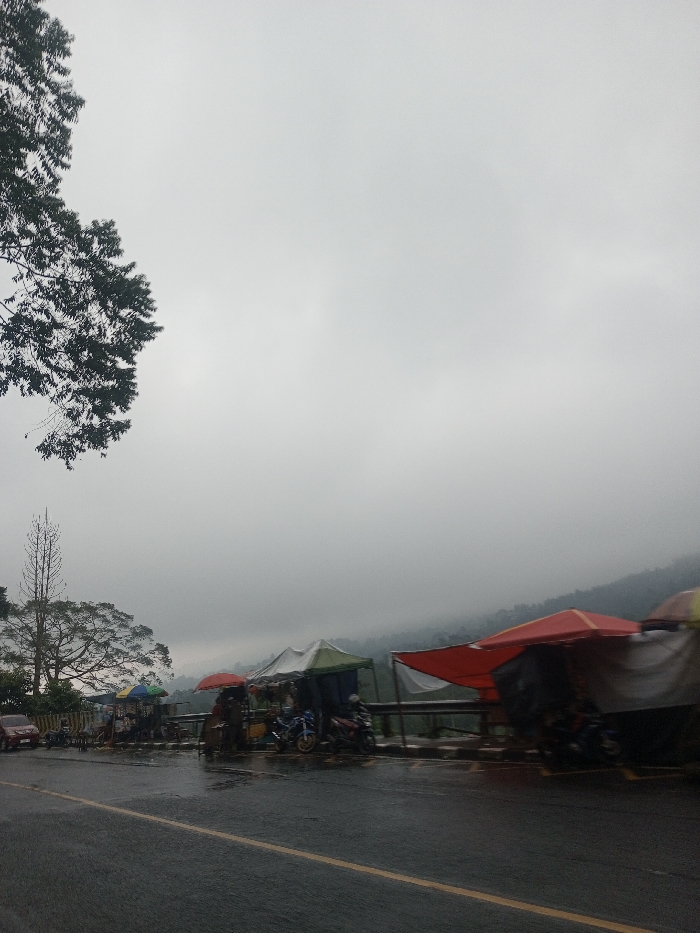 The image captures a roadside scene on an overcast day, likely in a mountainous or hilly region, with a damp atmosphere suggesting recent rain.
The upper portion of the frame is dominated by a vast, uniformly grey, cloudy sky, indicating heavy overcast conditions. In the distance, faintly visible through the haze, are outlines of hills or mountains covered in vegetation, partially obscured by mist or fog.
In the foreground, a wet asphalt road stretches from the bottom left towards the center and recedes into the distance. The wet surface reflects some ambient light. A double solid yellow line runs down the center of the road, with a white line marking its right edge.
Along the right side of the road, a series of makeshift market stalls or vendor stands are set up. These structures are characterized by their colorful tarpaulin or canvas roofs, displaying shades of red, white, green, and blue, with some featuring striped patterns. White plastic sheets are used as temporary walls for some of the stalls. Several motorbikes, primarily scooters, are parked near or beneath these stalls, with one prominent blue and white scooter visible. A red and white flag, possibly the flag of Indonesia, is draped over a stall on the far right of the image. A metal guardrail runs along the edge of the road where the stalls are located, suggesting a drop-off or a view of a valley beyond. A few blurry figures can be discerned near the stalls, indicating the presence of people, likely vendors or customers.
On the left side of the image, dark green tree branches with dense foliage extend into the top left corner. Further down on the left, another large tree with a broad, dense canopy is visible. Next to it stands a tall, slender, possibly bare or dead tree trunk that reaches high into the sky. A red car is parked on the left shoulder of the road, partially visible behind the foreground elements.
The overall impression is one of a cool, damp, and somewhat subdued day, with ongoing roadside commerce despite the weather.