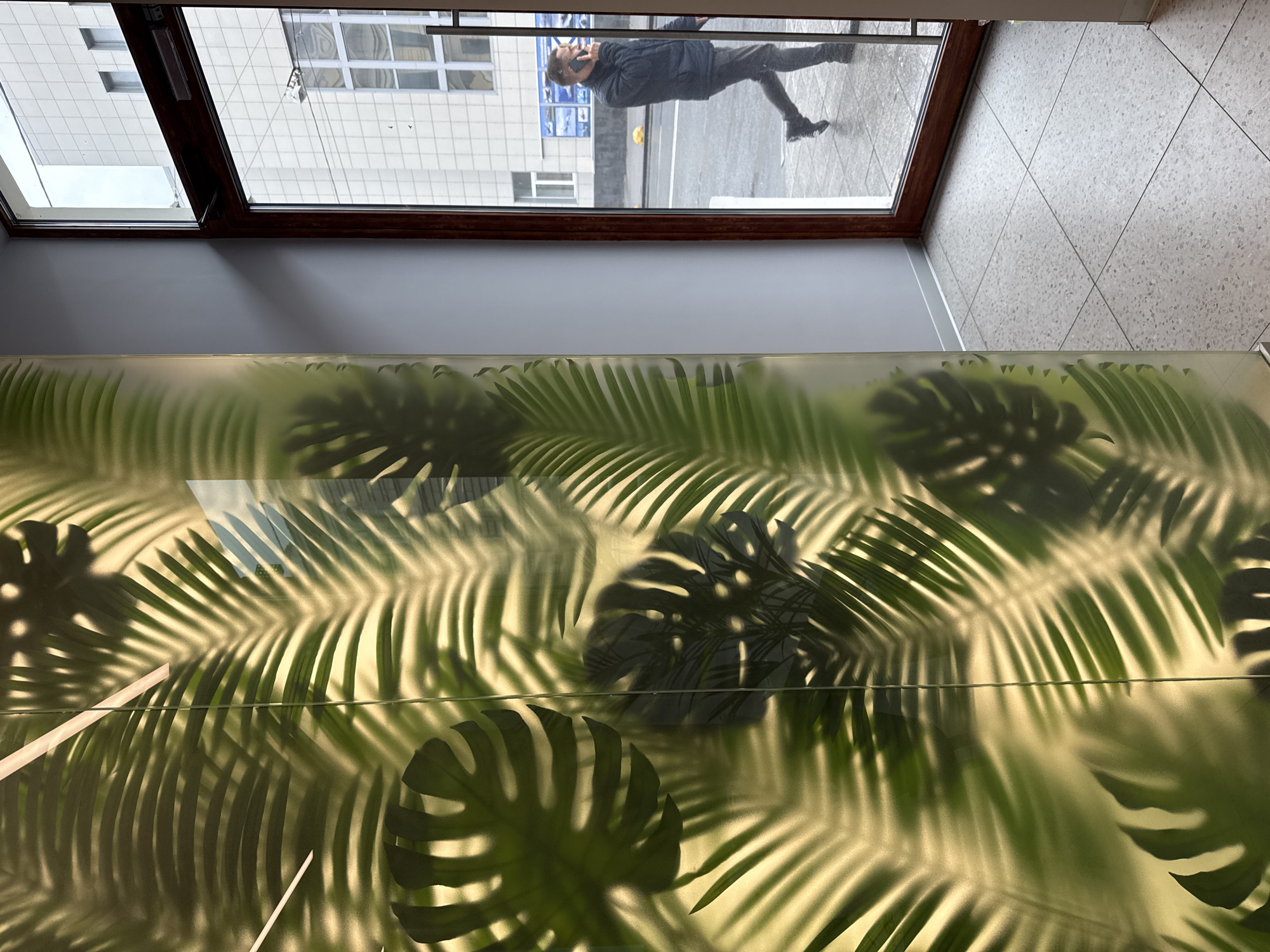 The media file captures an indoor view looking out through a large window onto an urban street scene. The image is oriented such that the outdoor elements, including a person, appear upside down, possibly due to the camera's orientation during capture or a reflection effect, though the person appears to be outside.
In the foreground, covering the lower half of the image, is a large, translucent or frosted horizontal surface. This surface is decorated with a vibrant pattern of tropical leaves, including palm fronds and Monstera leaves, rendered in various shades of green and yellowish-green, suggesting a warm, decorative element indoors.
Above this patterned surface, a dark brown wooden frame delineates a window. Through this window, the outdoor environment is visible. A person, appearing upside down, is the most prominent subject outdoors. This individual is dressed in dark attire, including a jacket, pants, and shoes, and is captured in motion or standing, holding a mobile phone to their ear as if engaged in a conversation. They are seen against the backdrop of a light-colored, possibly paved, street or sidewalk.
Beyond the person and street, multi-story buildings with grid-patterned windows and light-colored facades are visible, indicating an urban setting. Faint blue signage can be discerned on one of the buildings, but no specific text is legible. The sky appears overcast or dimly lit, suggesting daytime with diffused lighting rather than direct sunlight. The overall atmosphere implies a quiet street scene during the day. No decipherable text is visible anywhere in the image.