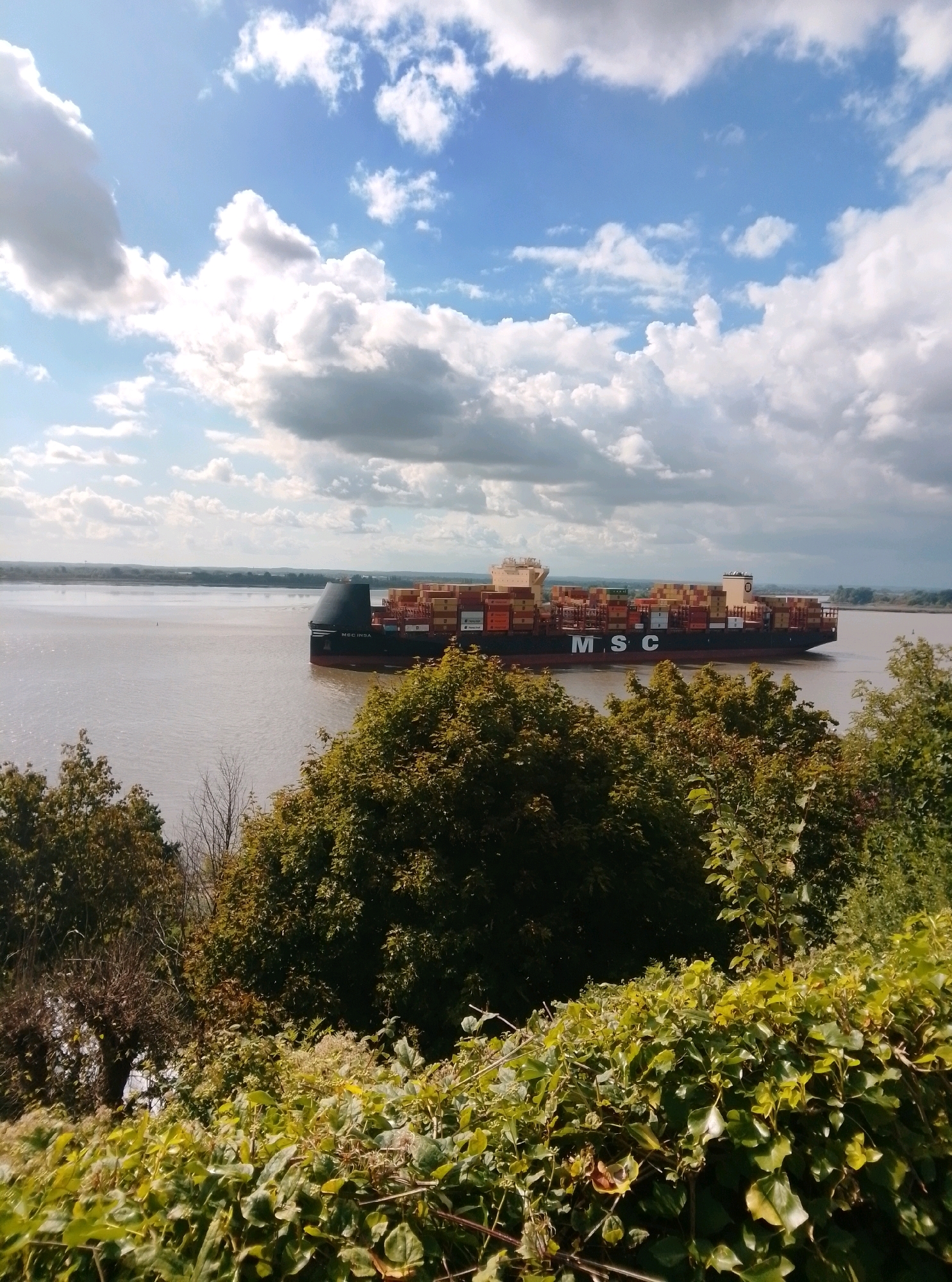 A large container ship, identified by the "MSC" logo on its hull, travels on a wide body of water. The ship is laden with numerous shipping containers of various colors, predominantly red, yellow, and orange. In the foreground, lush green foliage, including trees and ivy, partially obscures the view of the water and the ship. The sky above is a mix of blue and white clouds, suggesting an outdoor, daytime scene. The image appears to be taken from an elevated vantage point, possibly a hill or embankment overlooking the waterway. Based on the presence of large container ships and the general landscape, this scene is likely captured in the vicinity of the Port of Hamburg, Germany, a major hub for maritime trade.