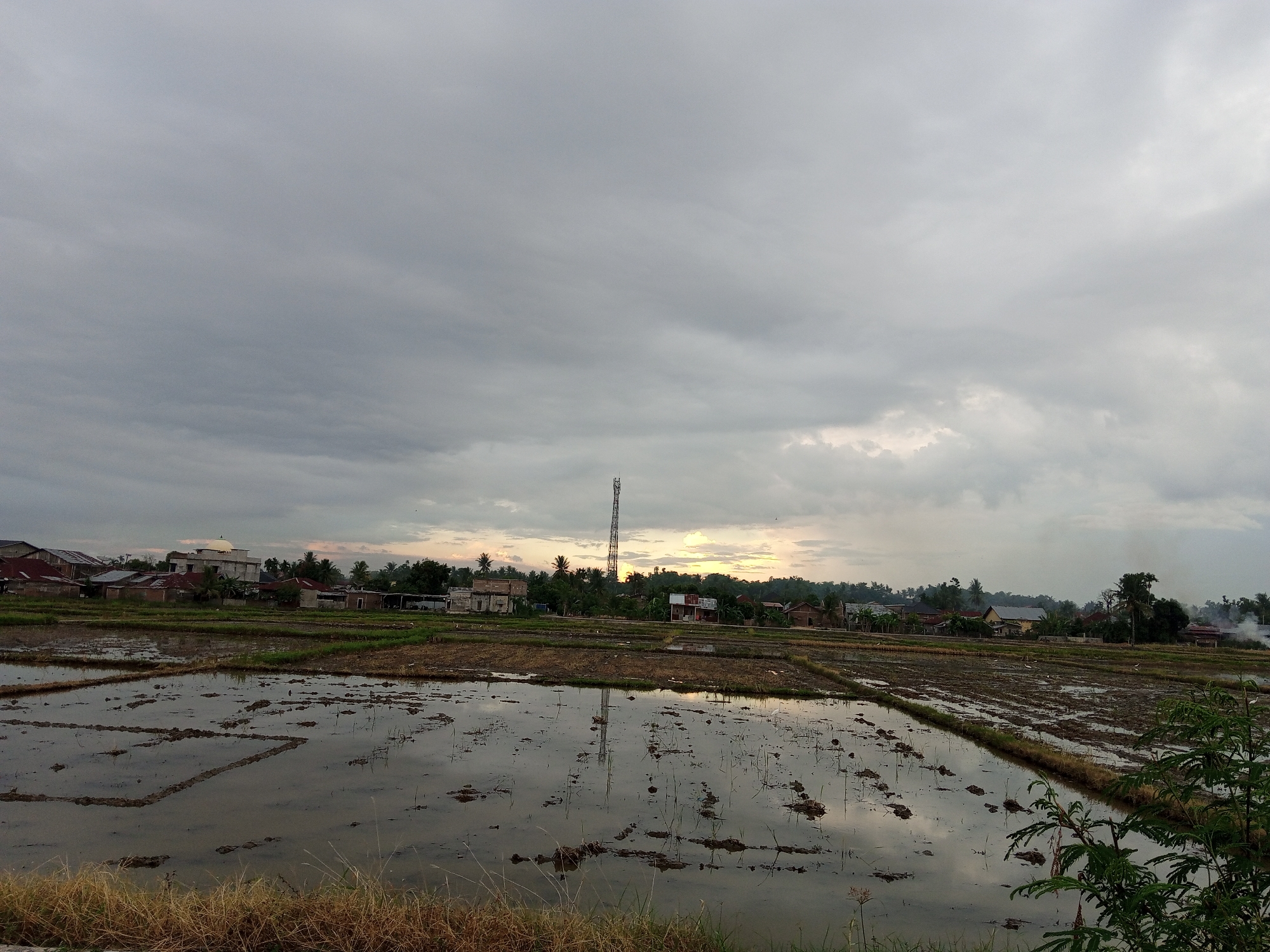 The image depicts a flooded rice paddy field in Puloara, Indonesia, under a cloudy, overcast sky with a hint of sunset glow on the horizon. The field is divided into plots by mud embankments and contains standing water reflecting the sky and a distant telecommunications tower. Buildings and trees are visible in the background along the horizon. Dry grass and some green foliage are present in the immediate foreground. Some smoke or steam rises in the distant right background.