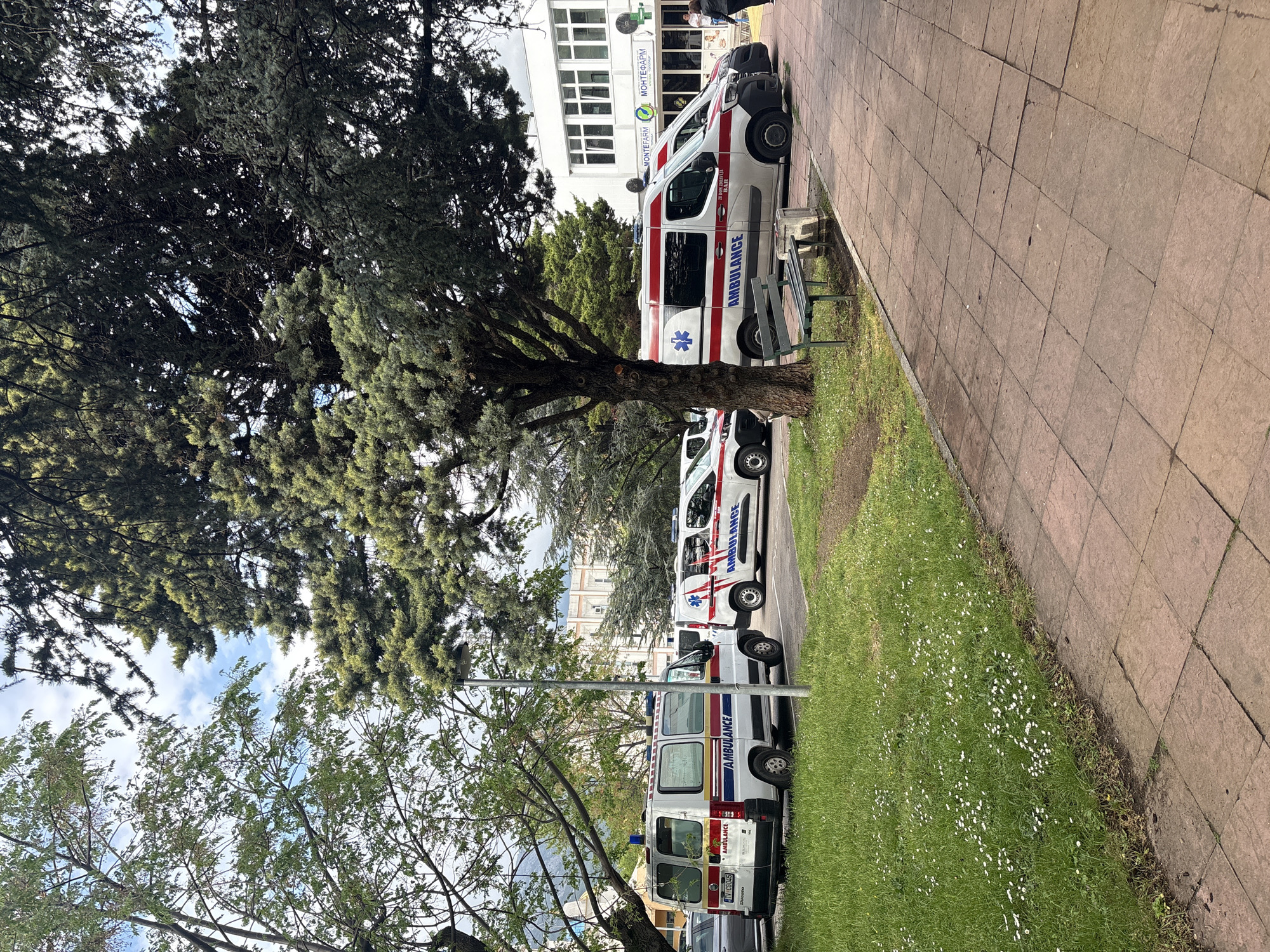 The image captures a daytime scene in what appears to be an urban setting, likely in Bar, Montenegro. On the right, a wide, paved sidewalk is visible, next to a strip of green grass populated with small white daisy-like flowers.
Parked parallel to the grass strip are multiple white ambulance vans. These vehicles are distinctly marked with red and blue stripes, the Star of Life emblem, and the word "AMBULANCE" in red capital letters. Further text on the ambulances includes "HITNA POMOĆ" (Emergency Aid) and "ЗДРАВСТВЕНА УСТАНОВА" (Health Institution) in Cyrillic script. One ambulance displays a phone number "020 220 043" and a Montenegrin license plate starting with "TV CG". A metal bench is partially visible next to one of the parked ambulances.
To the left, a large, mature tree with dense, dark green foliage dominates the mid-ground. The sky, showing patches of white clouds, is visible through its branches and those of other trees in the foreground. In the background, a white building with multiple windows stands, likely the facility associated with the ambulances. A sign on this building clearly reads "MONTEFARM" and "МОНТЕФАРМ". A few people can be seen standing or walking near the building's entrance. The scene appears calm, with no specific activity beyond the parked vehicles and distant pedestrian movement.