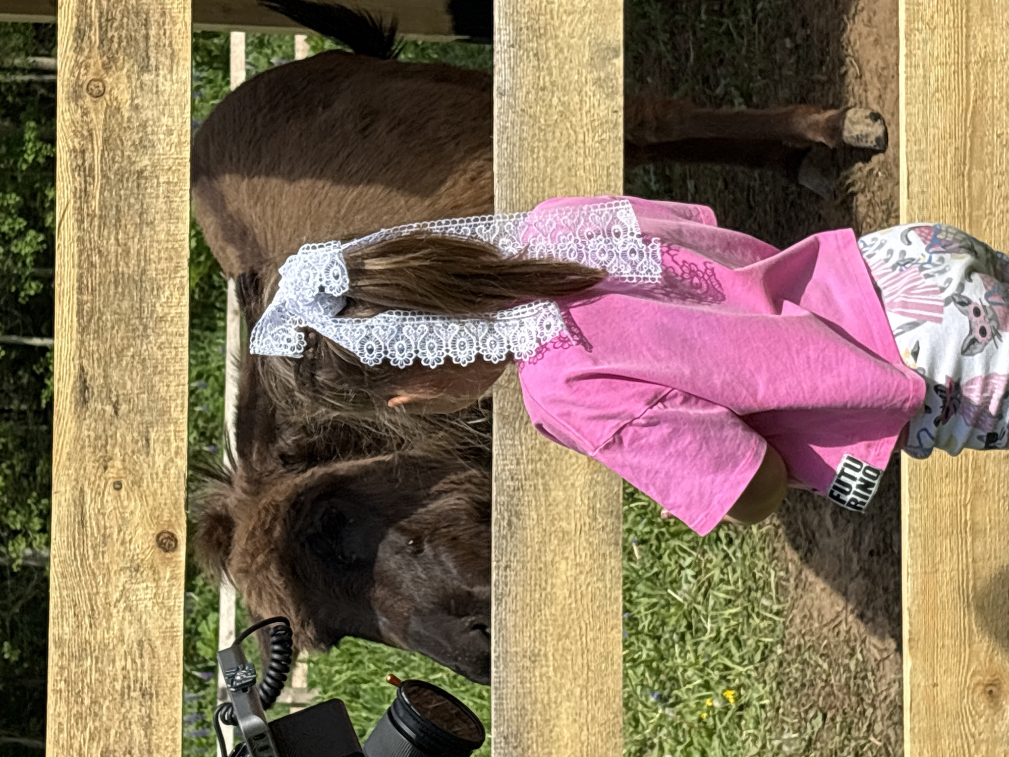 A girl in a pink shirt is standing near a fence and a brown donkey in an outdoor grassy area. A camera is present on the ground, close to the donkey. The location of the photo cannot be determined based on the provided information.