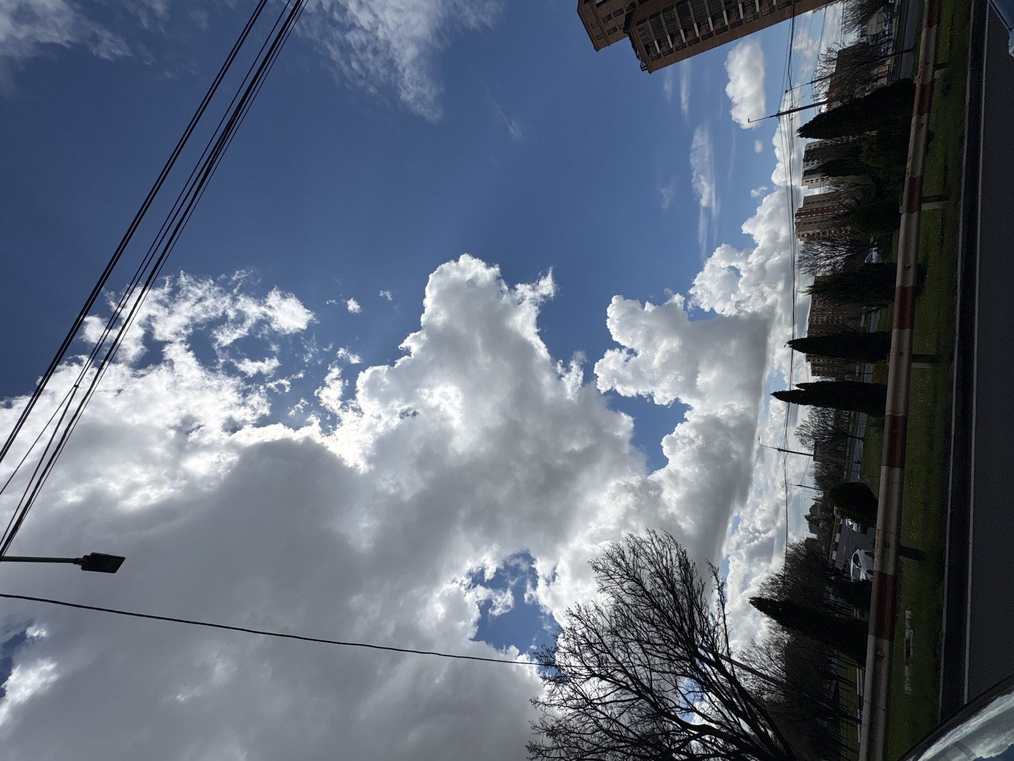 The image presents a daytime urban landscape with a prominent sky. The upper two-thirds of the frame are filled with a vivid blue sky interspersed with large, fluffy white and grey cumulus clouds. Several dark utility lines or power cables stretch diagonally across the sky in the upper left and center.
In the lower left, a large, bare-branched deciduous tree with intricate dark branches is silhouetted against the clouds. To its right, a paved road with a visible white lane marking runs horizontally across the bottom. Adjacent to the road is a low barrier with alternating red and white stripes, behind which lies a narrow strip of green grass. Beyond the barrier, a line of dark green, slender coniferous trees (possibly cypresses) and other bare deciduous trees are visible, separating the road from further buildings. A white car is partially visible parked behind the barrier and trees.
On the far right, the corner of a tall, light-brown building with multiple windows can be seen, suggesting an apartment or office block. In the distance, more urban structures are discernible, indicating a city environment, consistent with the location context of Yerevan, Armenia. A street lamp with a flat, rectangular light fixture extends into the cloudy sky from the left.
The scene is brightly lit, suggesting midday or early afternoon. The combination of bare trees and evergreen conifers indicates a late winter or early spring season. No people or specific activities are depicted, offering a static view of the city's infrastructure and natural elements. There is no visible text in the image.