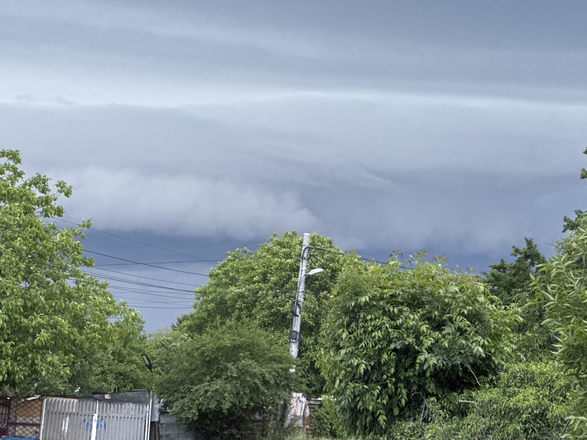This image captures an outdoor scene under a heavily overcast sky, likely in Sofia, Bulgaria. The upper half of the frame is dominated by dense, grey clouds, with a distinct, lighter horizontal band of cloud separating a darker, uniform layer above from a more textured, slightly lighter layer below. This suggests an approaching weather front or impending precipitation, creating a dim, subdued daytime atmosphere.
The lower half of the image is filled with a rich, green canopy of trees and bushes, indicating a warm season. Various types of foliage with different leaf shapes and densities are visible. A prominent light-colored utility pole stands near the center, extending above the treeline. It features a modern street light fixture and is crisscrossed by multiple dark utility wires stretching horizontally across the scene, some disappearing into the foliage.
In the bottom left, partially obscured by the trees, a structure resembling a fence or shed made of corrugated metal panels and possibly wooden components is visible. On one of the lighter metal panels, there are faint, dark marks that could be scratched or painted text or symbols, but they are not clearly legible. No people or animals are present, and no specific activity is taking place beyond the natural state of the environment and infrastructure. The scene conveys a sense of stillness and anticipation under the dramatic, cloudy sky.
