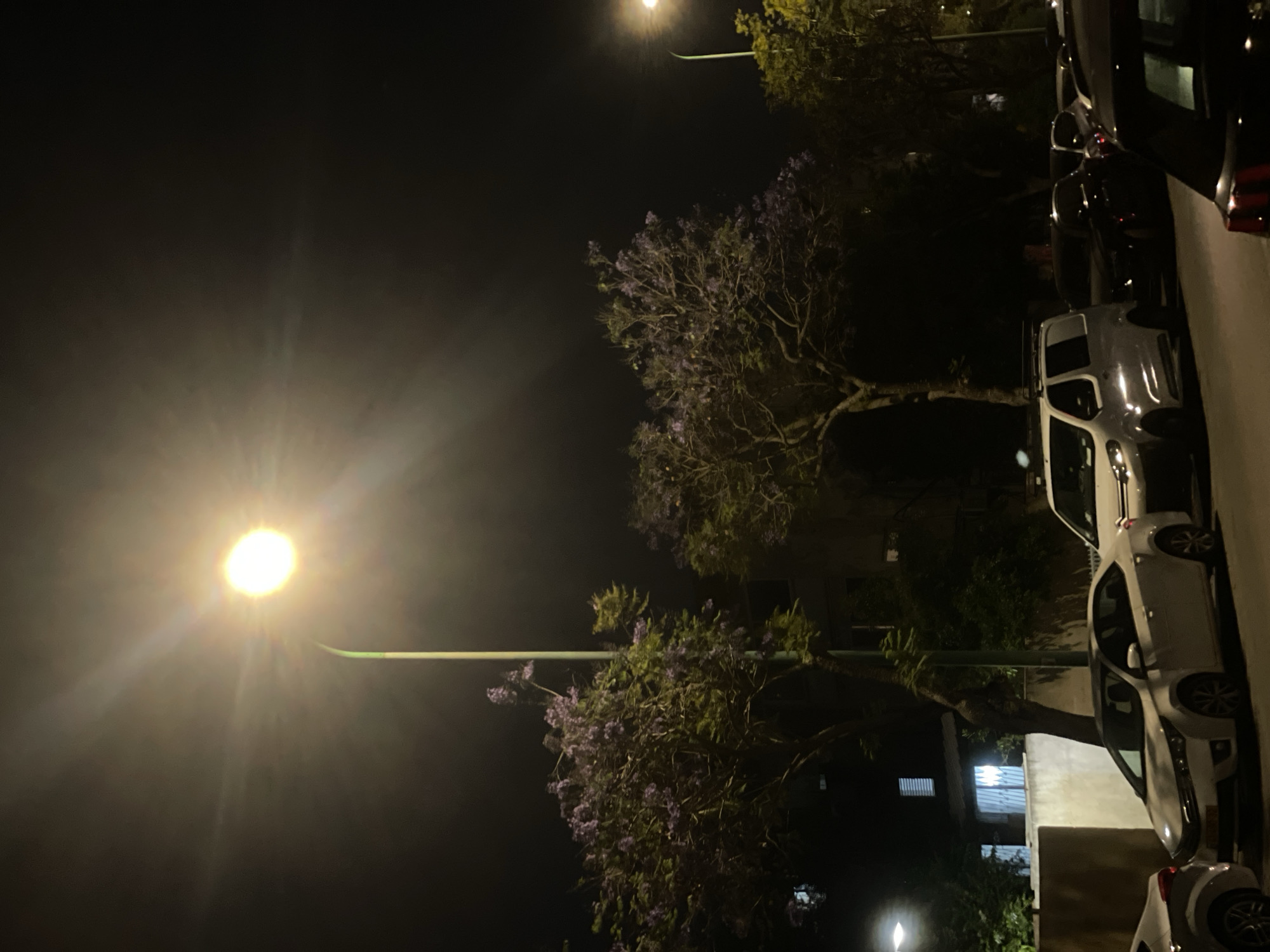 The image depicts a street scene at night in Petah Tikva, Israel. A bright streetlight illuminates the left side of the frame, casting a glow across the scene. Several parked cars line the right side of the street, including white and black vehicles. Two trees with purple flowers are visible, one in the middle and one in the lower portion of the image, adding texture and color to the otherwise dark scene. The background is obscured by darkness, and windows of nearby buildings can be vaguely seen.