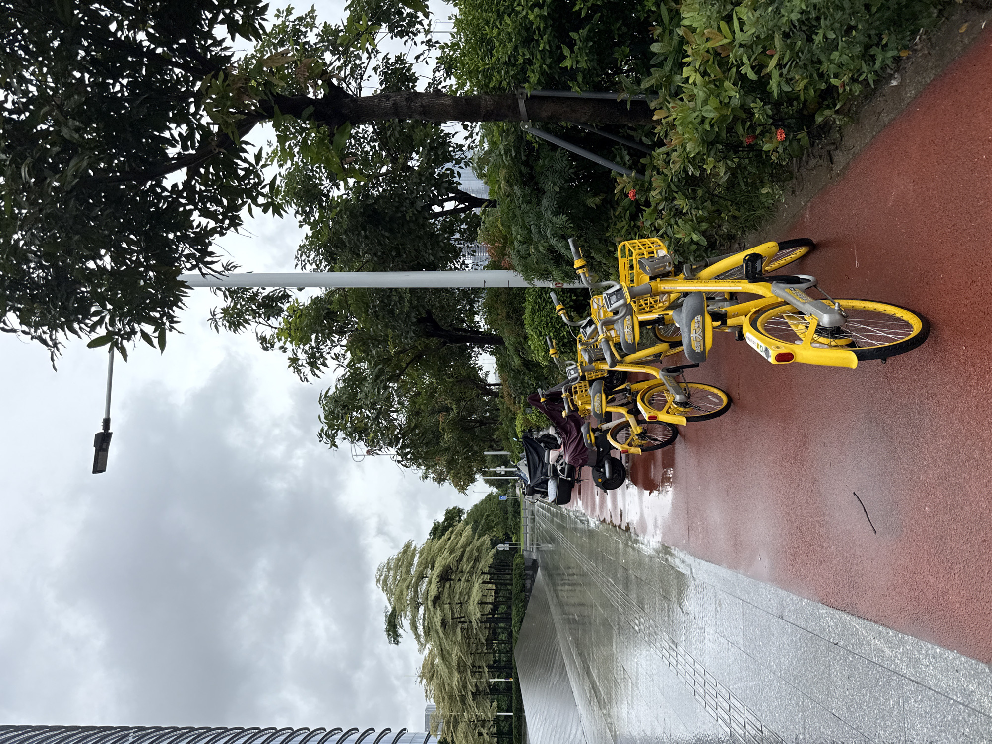 This image depicts a row of yellow shared bicycles parked on a red asphalt path beside a wet grey tiled sidewalk. The scene is in the Haizhu District of China, under a cloudy, overcast sky, suggesting recent rain. A dark-colored motorcycle is parked in front of the bicycles, covered by a dark tarp. Trees and lush green bushes line the right side of the path, with some small red flowers visible. In the background, more trees are visible, with a modern, curved building on the far left and distant city buildings peeking through the foliage. A lamppost stands tall between the trees and the path. The overall impression is an urban outdoor environment during or shortly after a rain shower.
